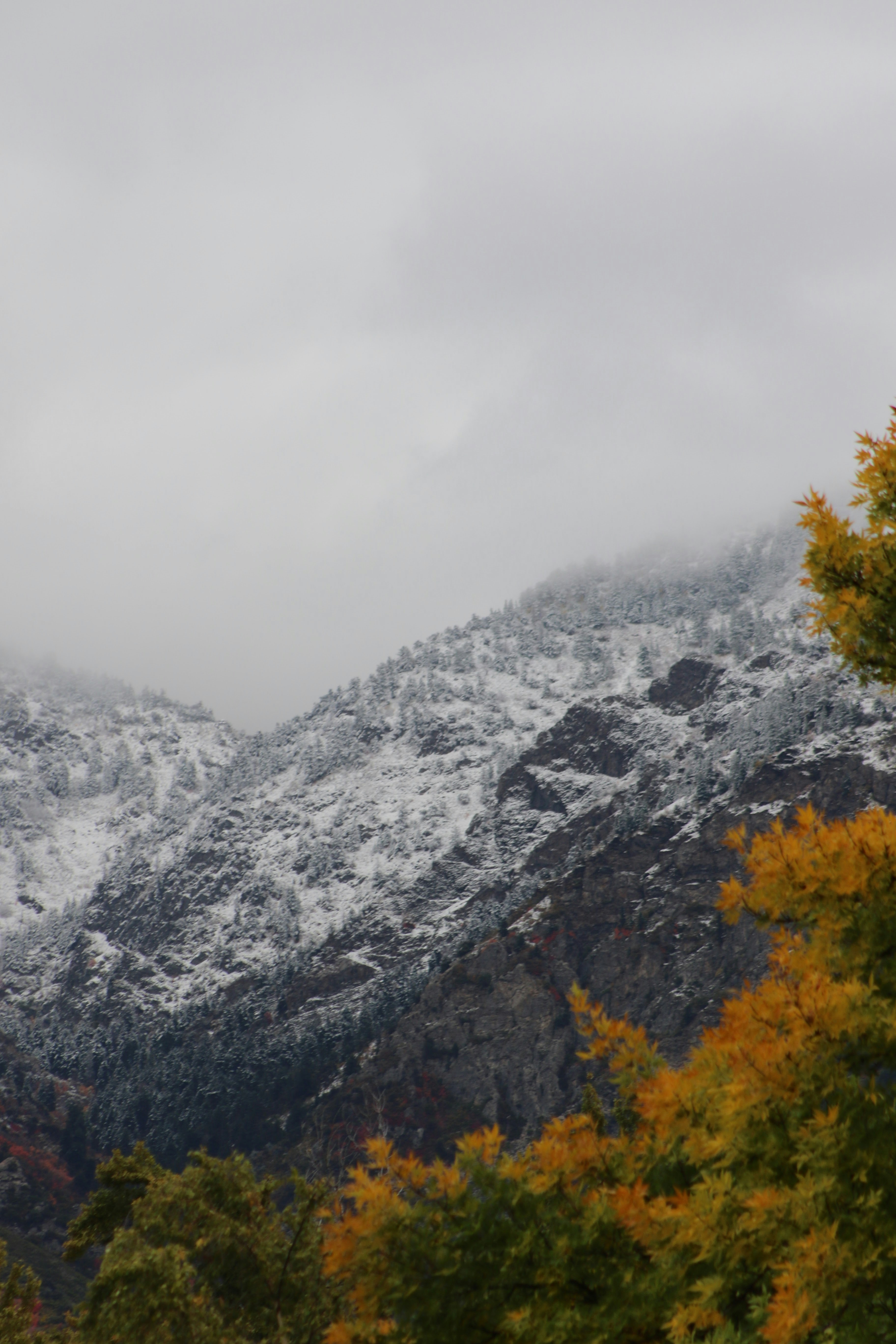 Photo by isaacquick1