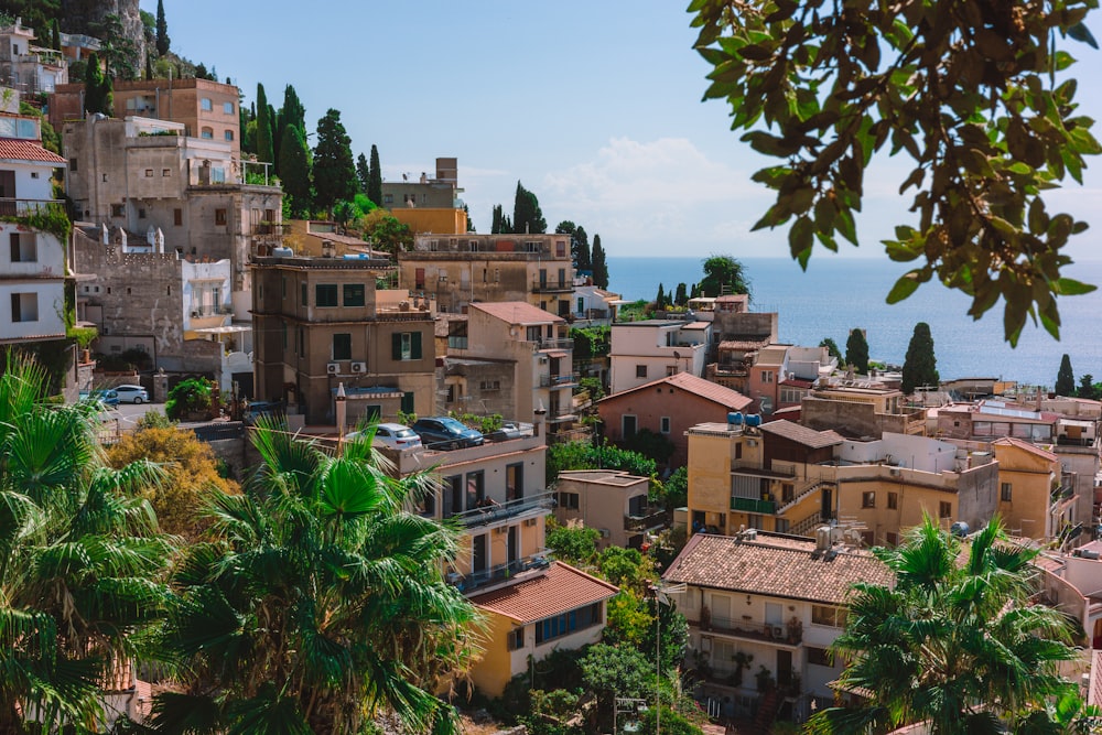 a view of a city with palm trees and a body of water in the background