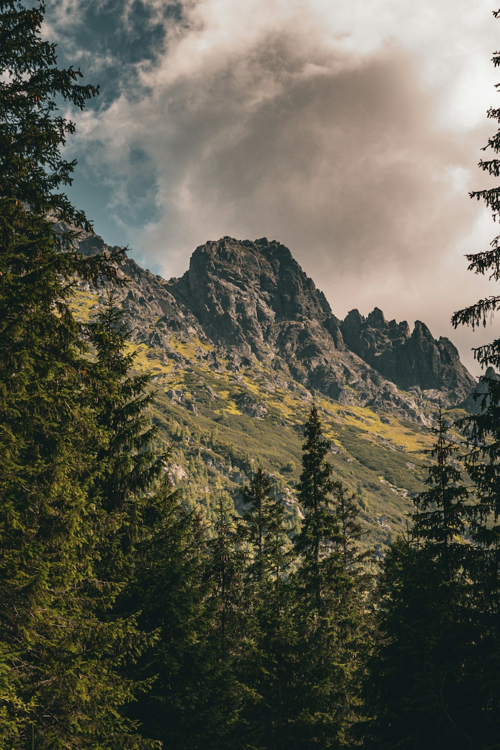 a view of a mountain with trees in the foreground