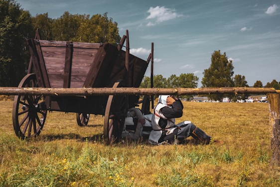 A person dressed in medieval clothing is sitting on the grass next to an old wooden cart with large wheels. The cart is positioned under the shade of a wooden fence. In the background, there are trees and a grassy field extending into the distance under a partly cloudy sky.