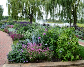 A vibrant garden with a variety of flowering plants in full bloom, showcasing lush greenery and colorful blossoms. Tall willow trees with cascading branches frame the scene on either side, and a tranquil body of water can be seen in the background. A red brick pathway winds through the garden, adding a structured element to the natural beauty.