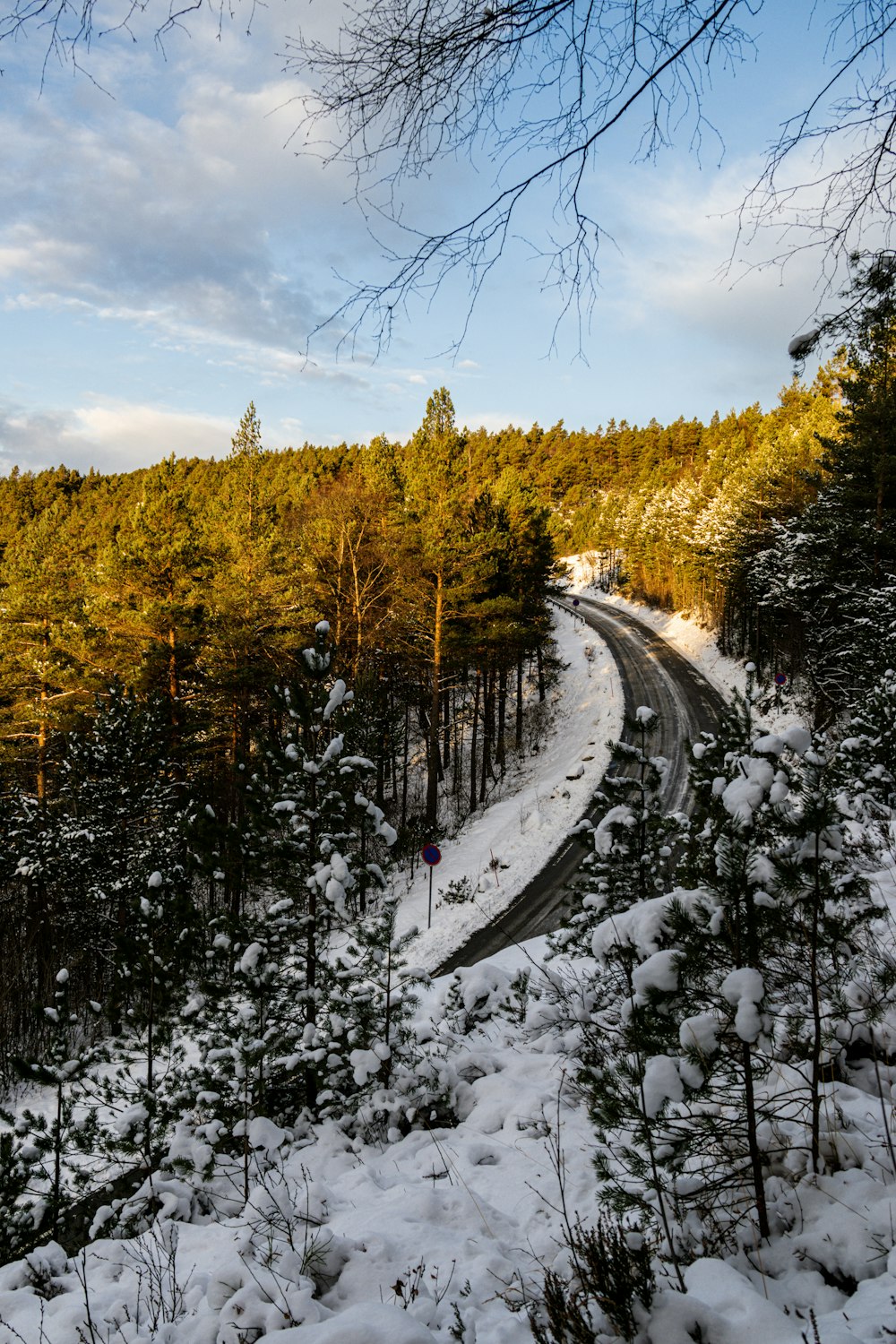 a road in the middle of a forest covered in snow