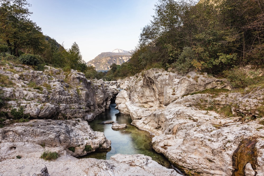 a river running through a rocky valley surrounded by trees