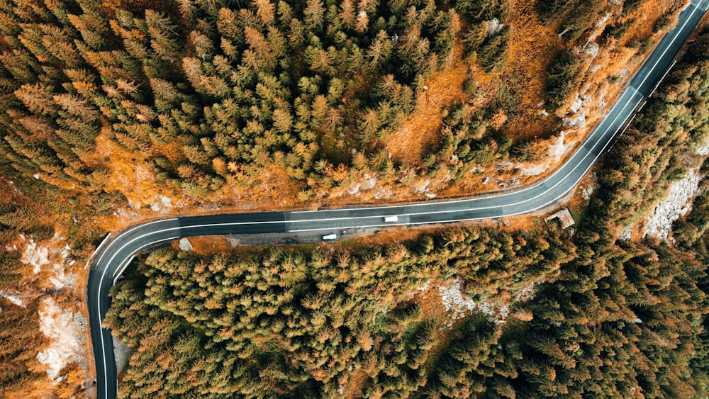 an aerial view of a road in the middle of a forest