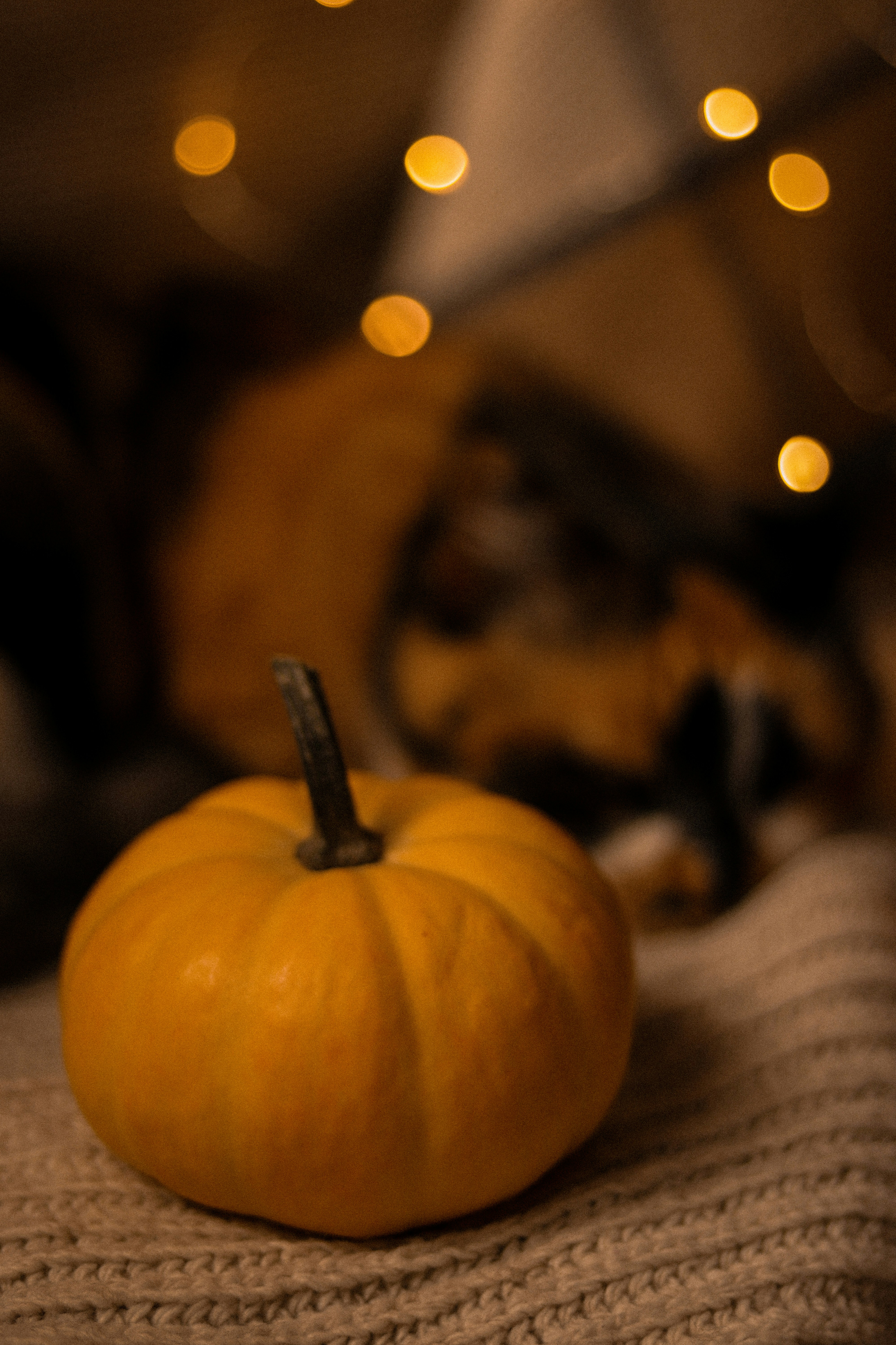 Un perro acostado en un sofá junto a una calabaza