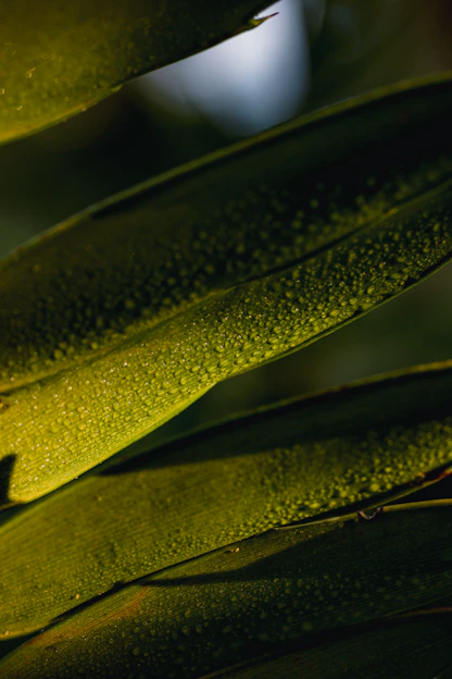 A close-up of dewy, radiant skin surrounded by fresh botanical leaves and flowers.
