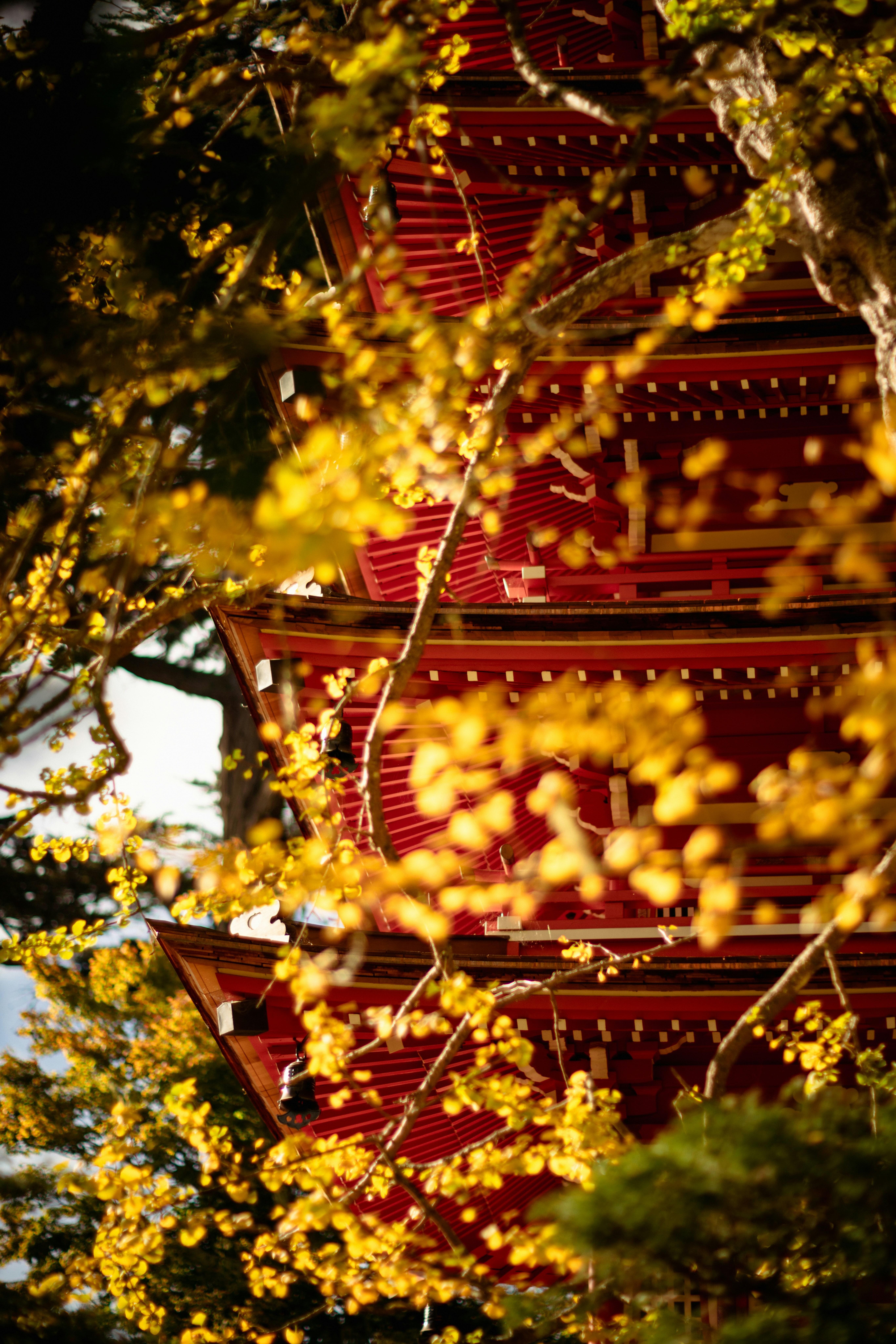 Photo by ninjason