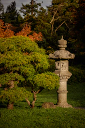A peaceful Japanese garden with carefully pruned bonsai trees and stone lanterns under soft sunlight.