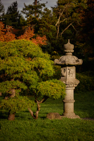 A peaceful Japanese garden with carefully pruned bonsai trees and stone lanterns under soft sunlight.