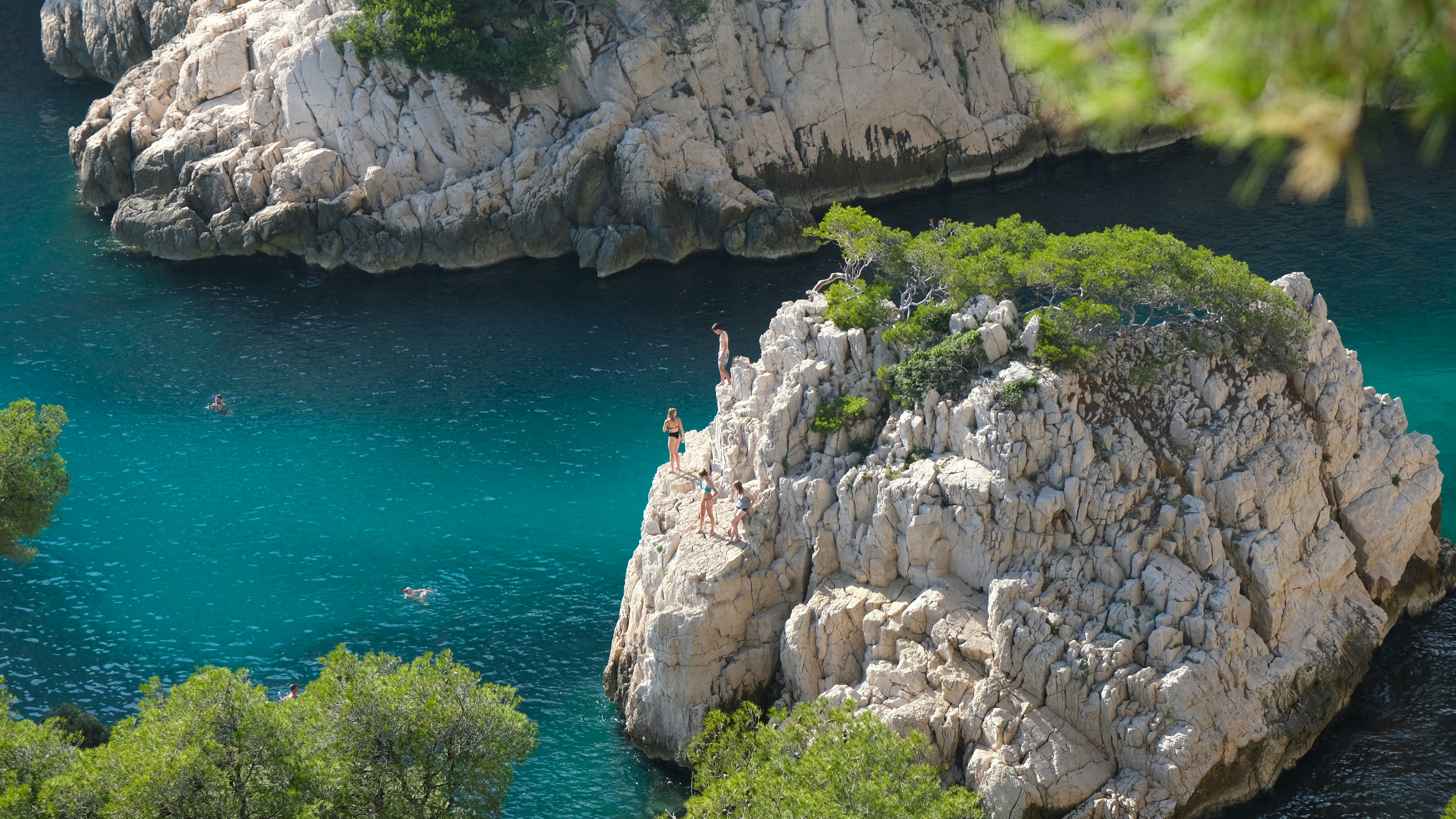 a couple of people swimming in a body of water