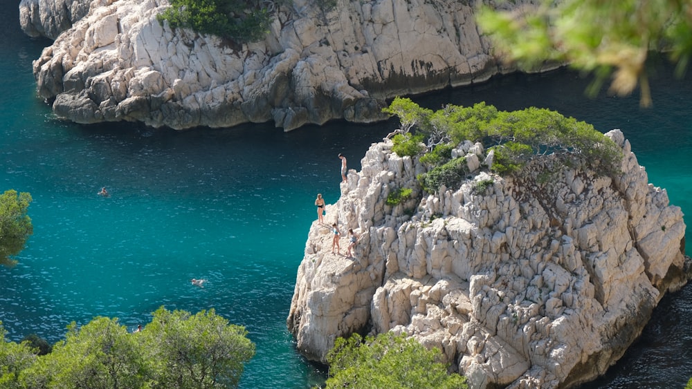 a couple of people swimming in a body of water