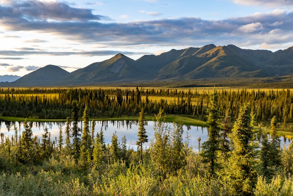 a lake in the middle of a forest with mountains in the background