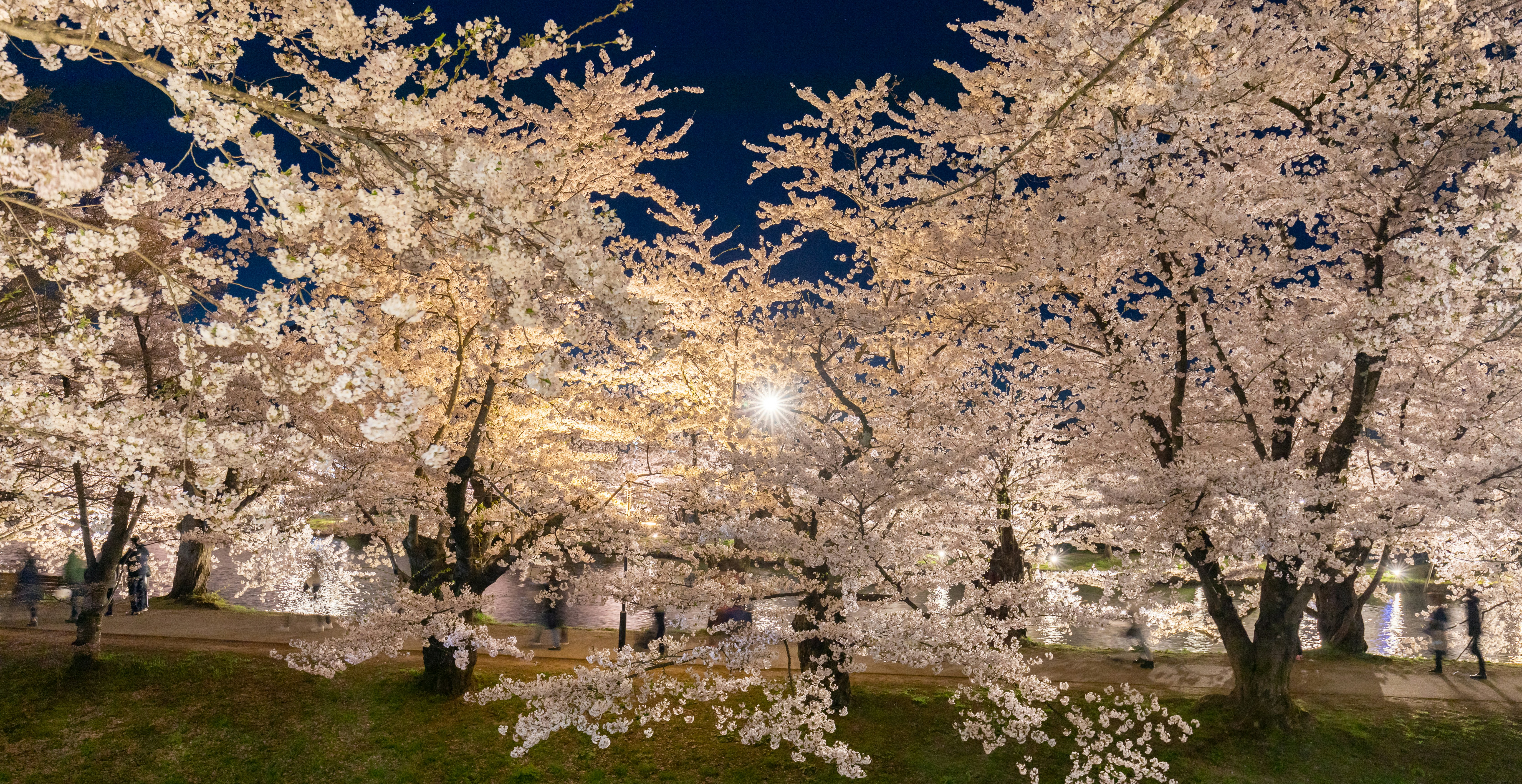 Photo by juntarou555