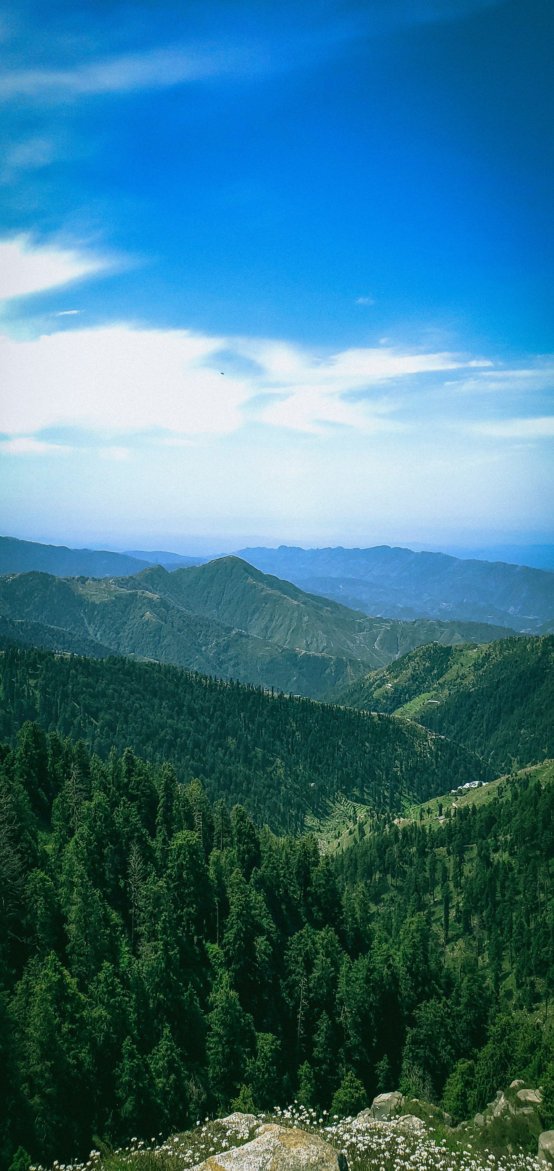 Photo by mohitt7i