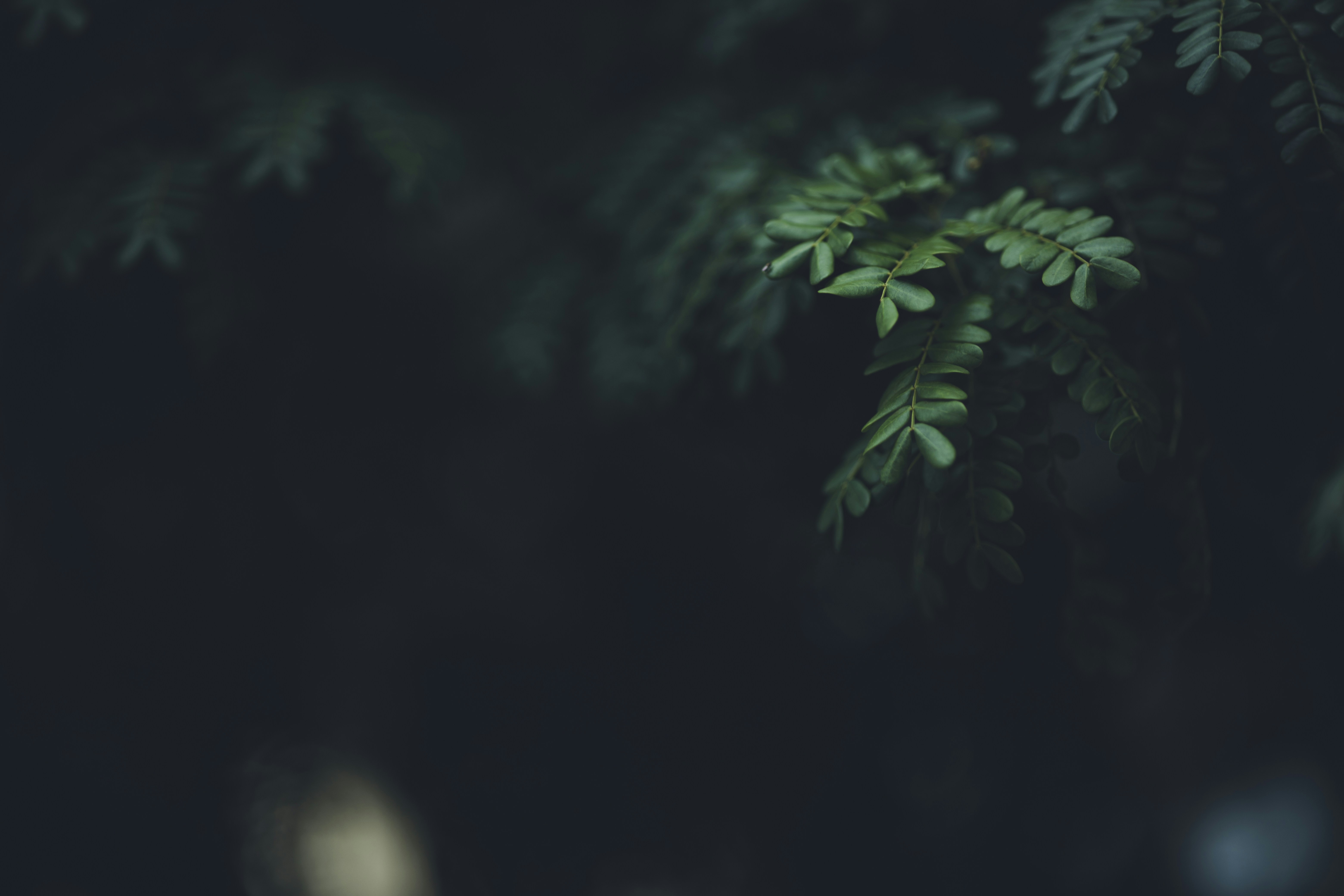 Photo by rrodriguesim