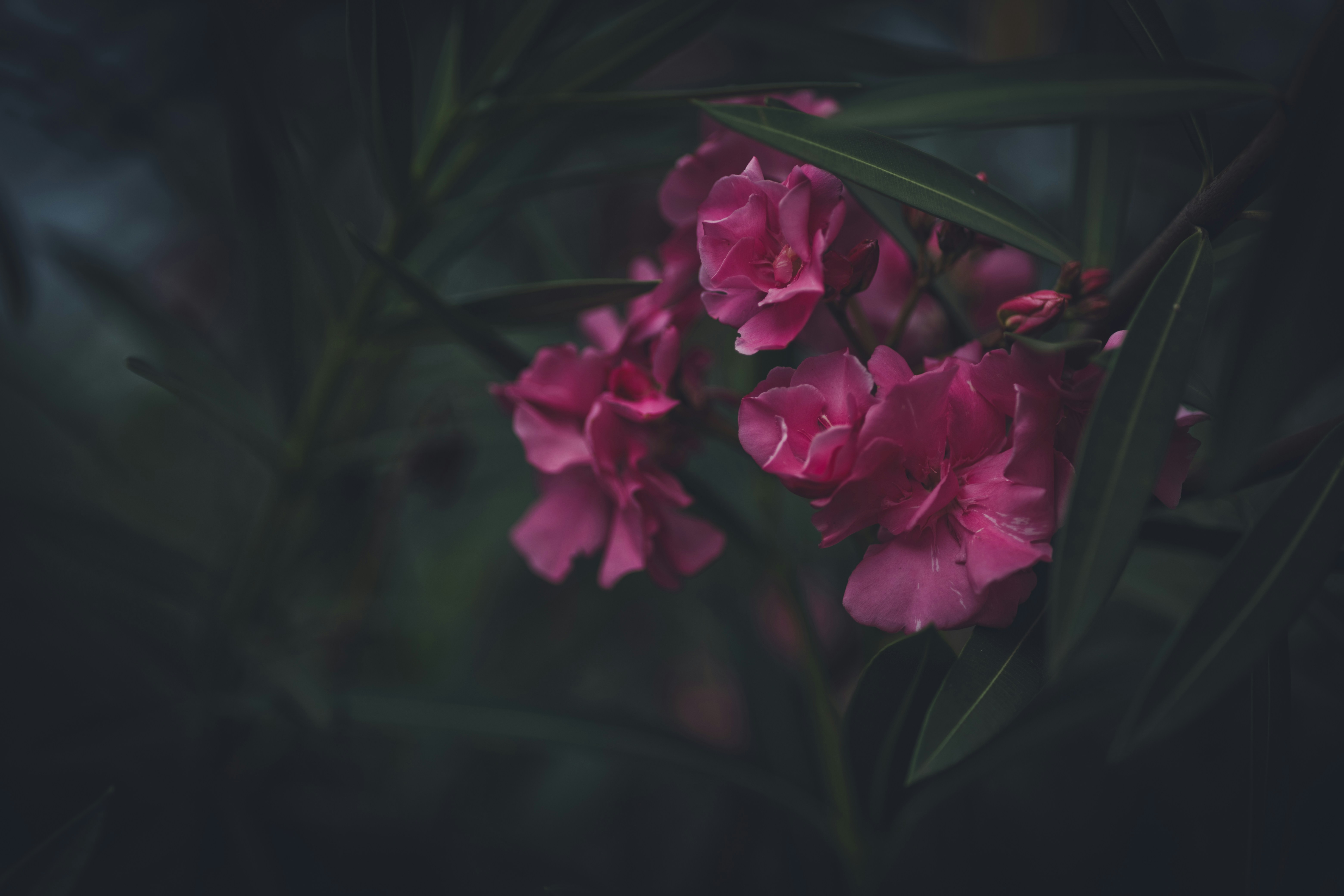 Photo by rrodriguesim