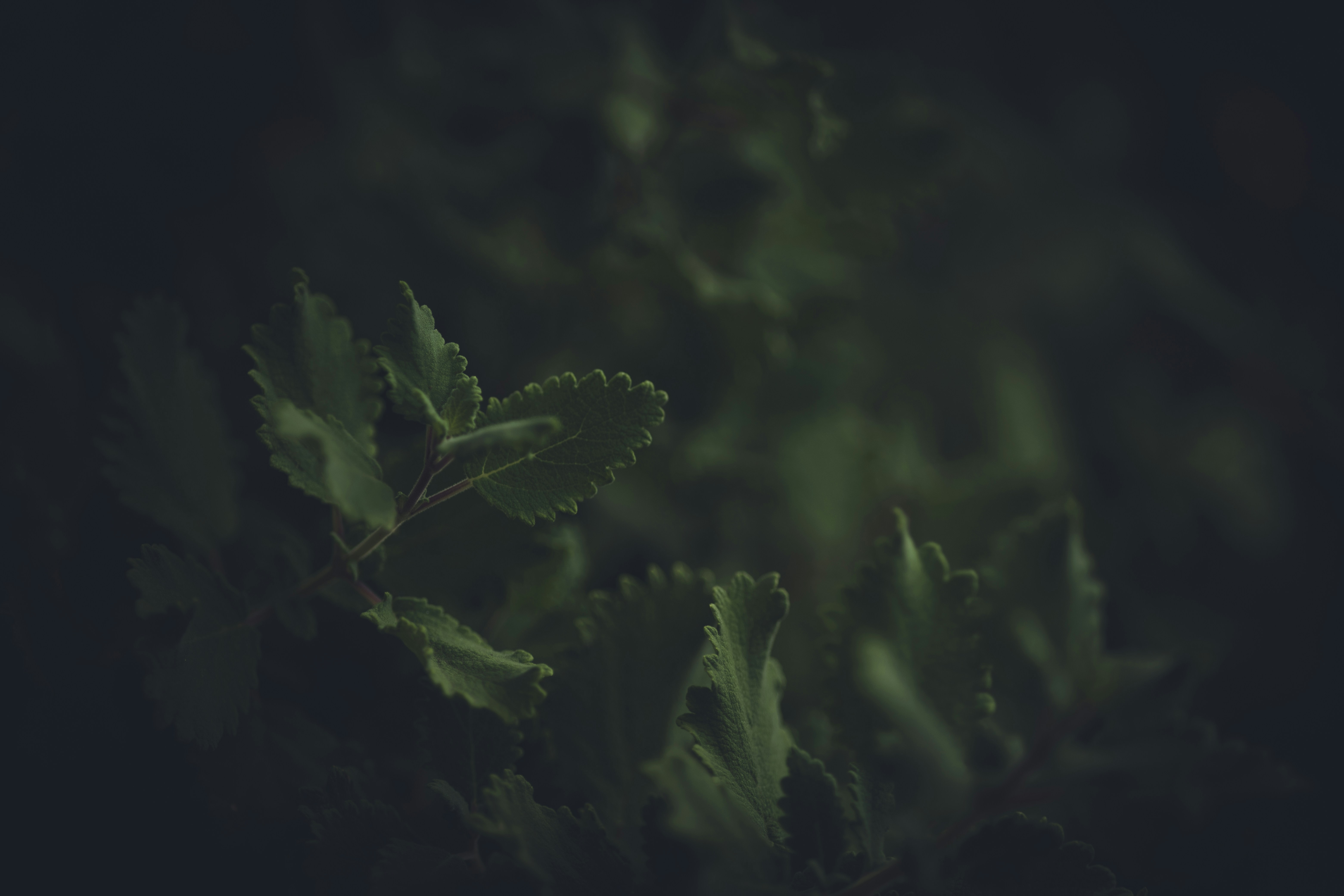 Photo by rrodriguesim