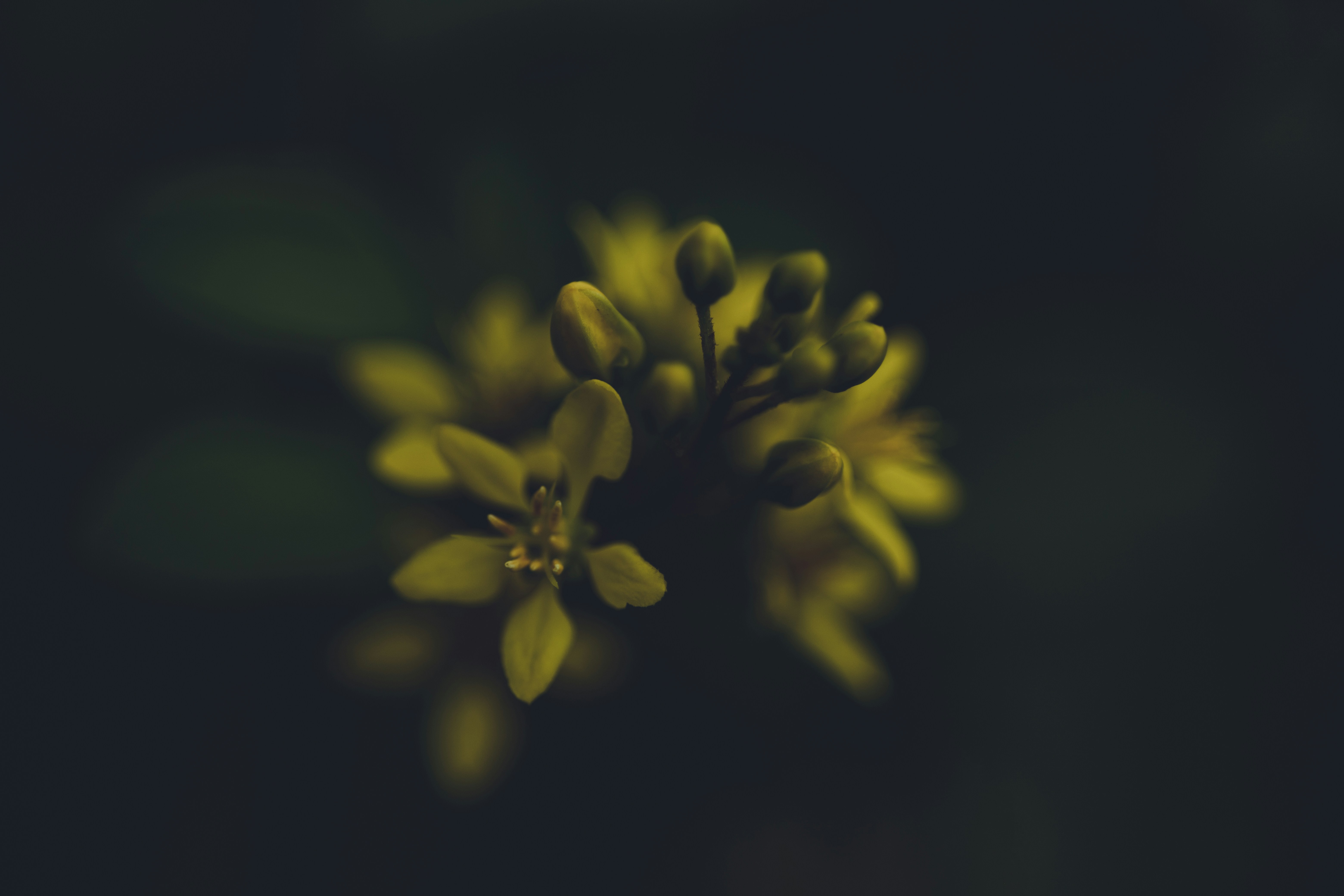 Photo by rrodriguesim