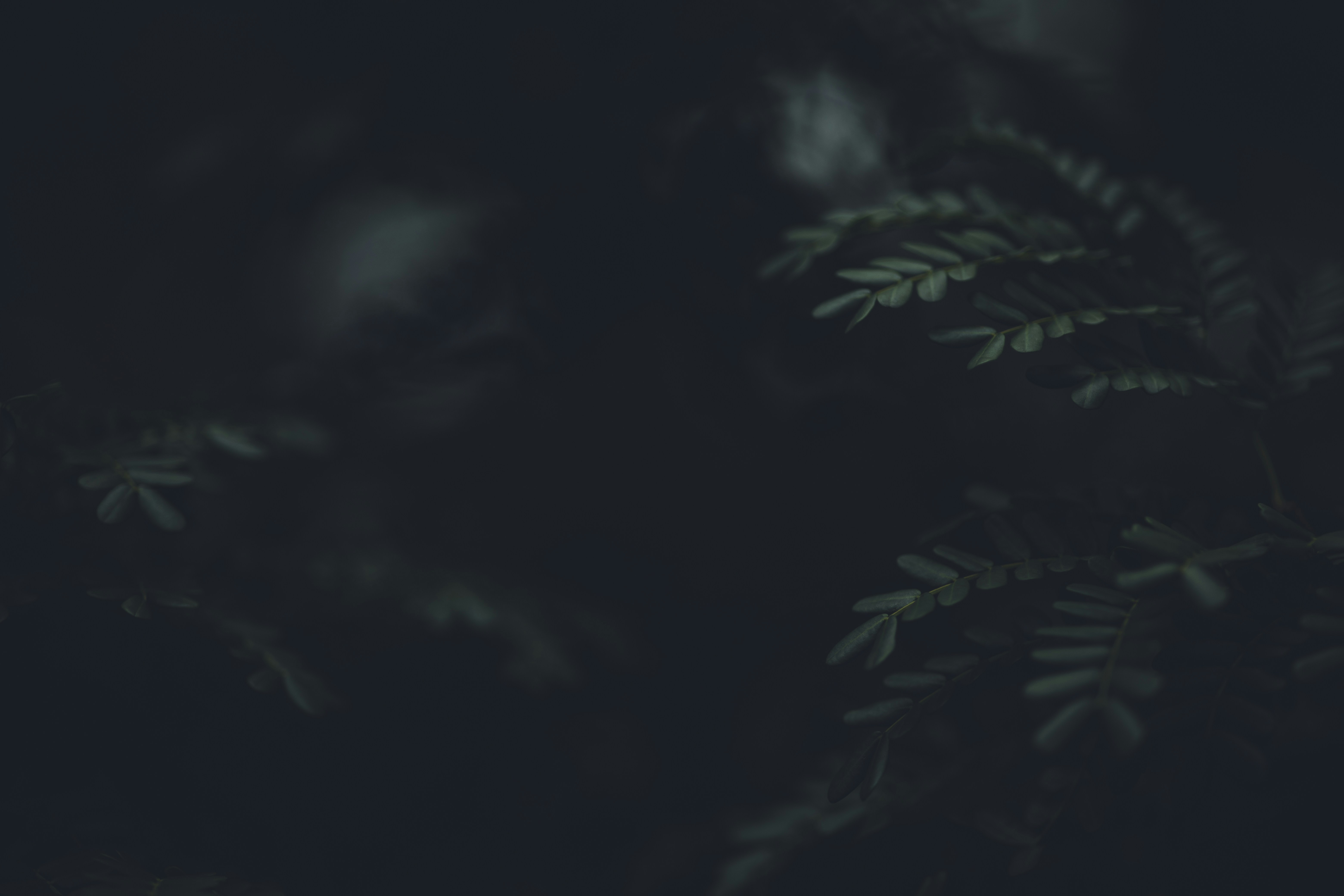 Photo by rrodriguesim