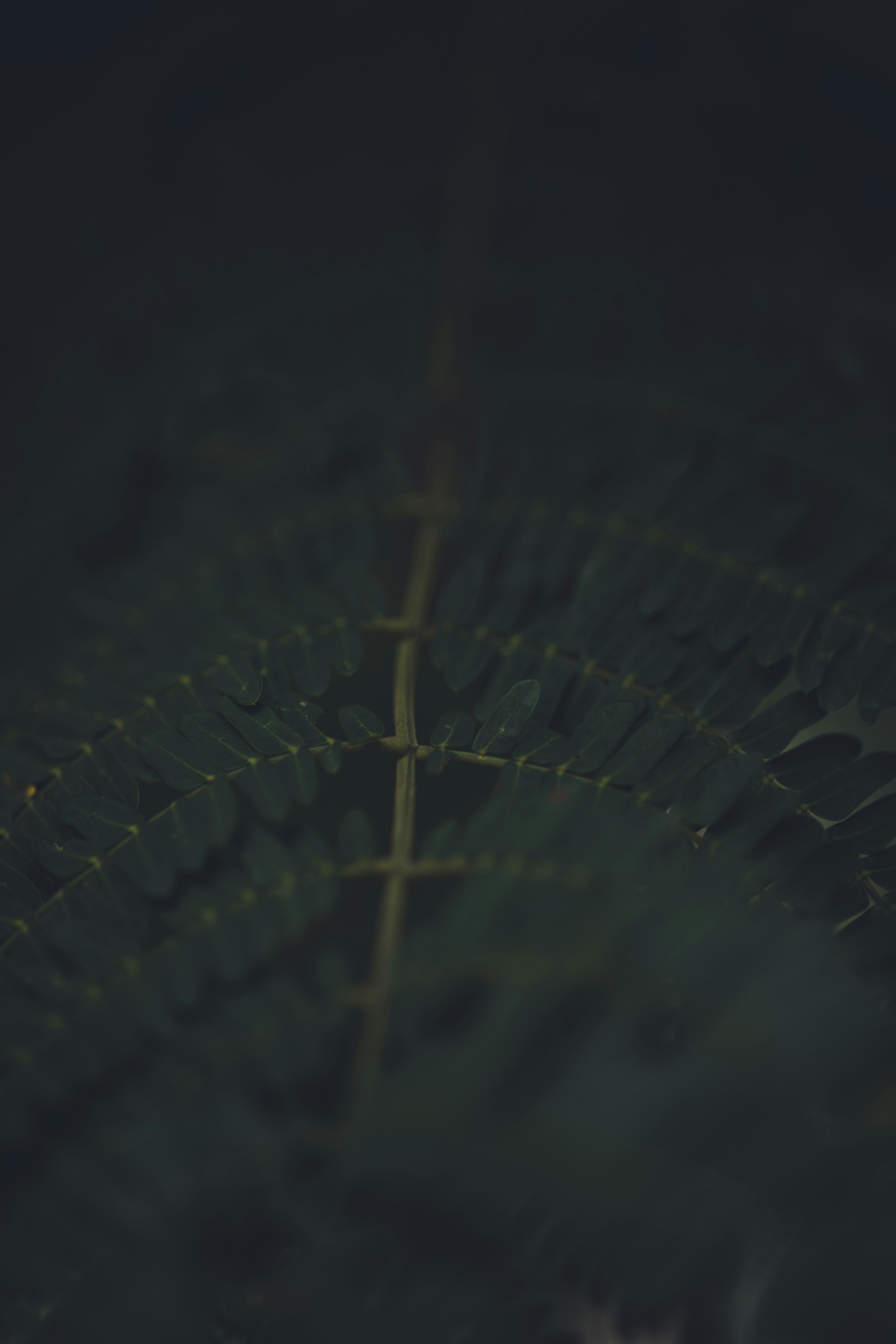 Photo by rrodriguesim