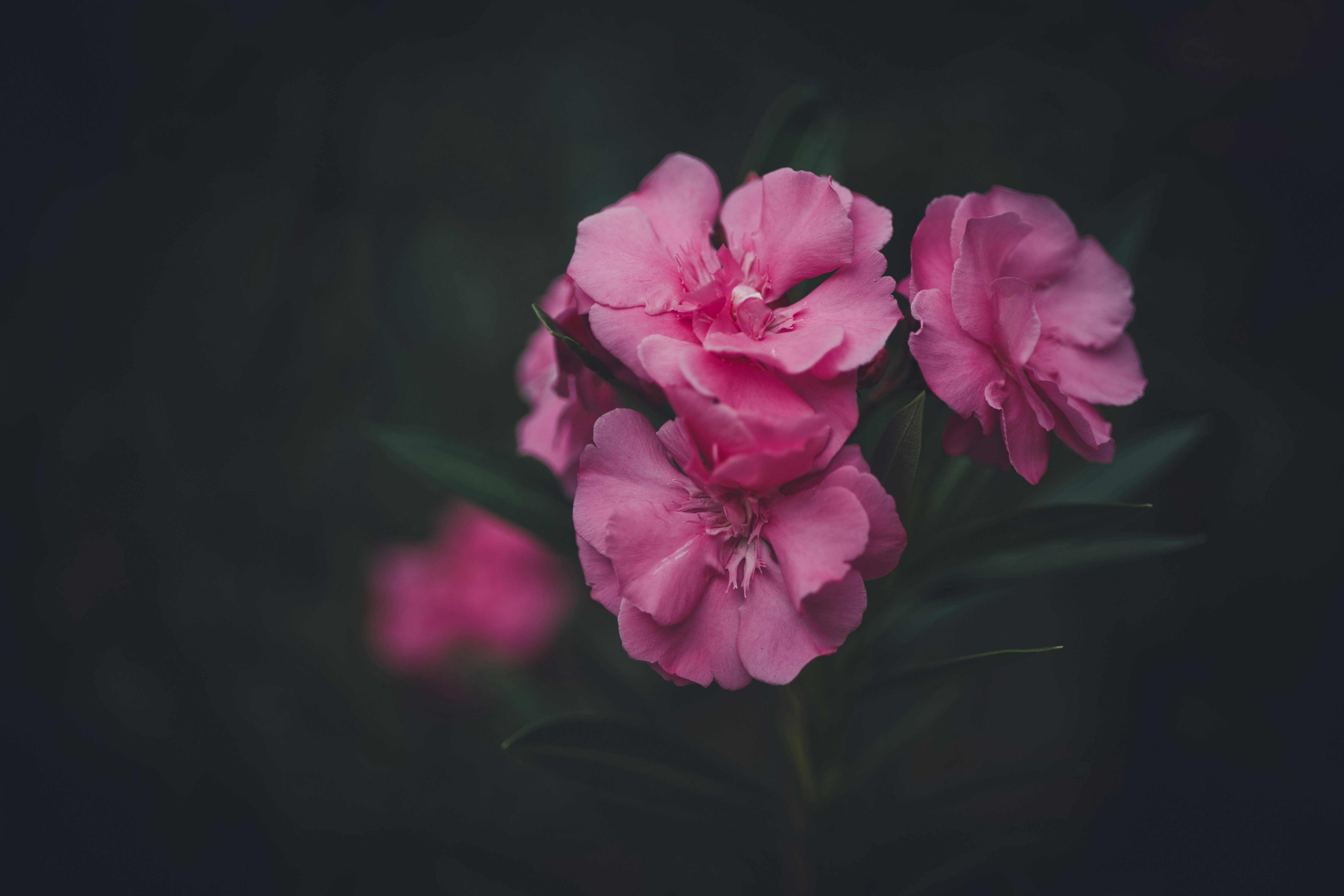 Photo by rrodriguesim