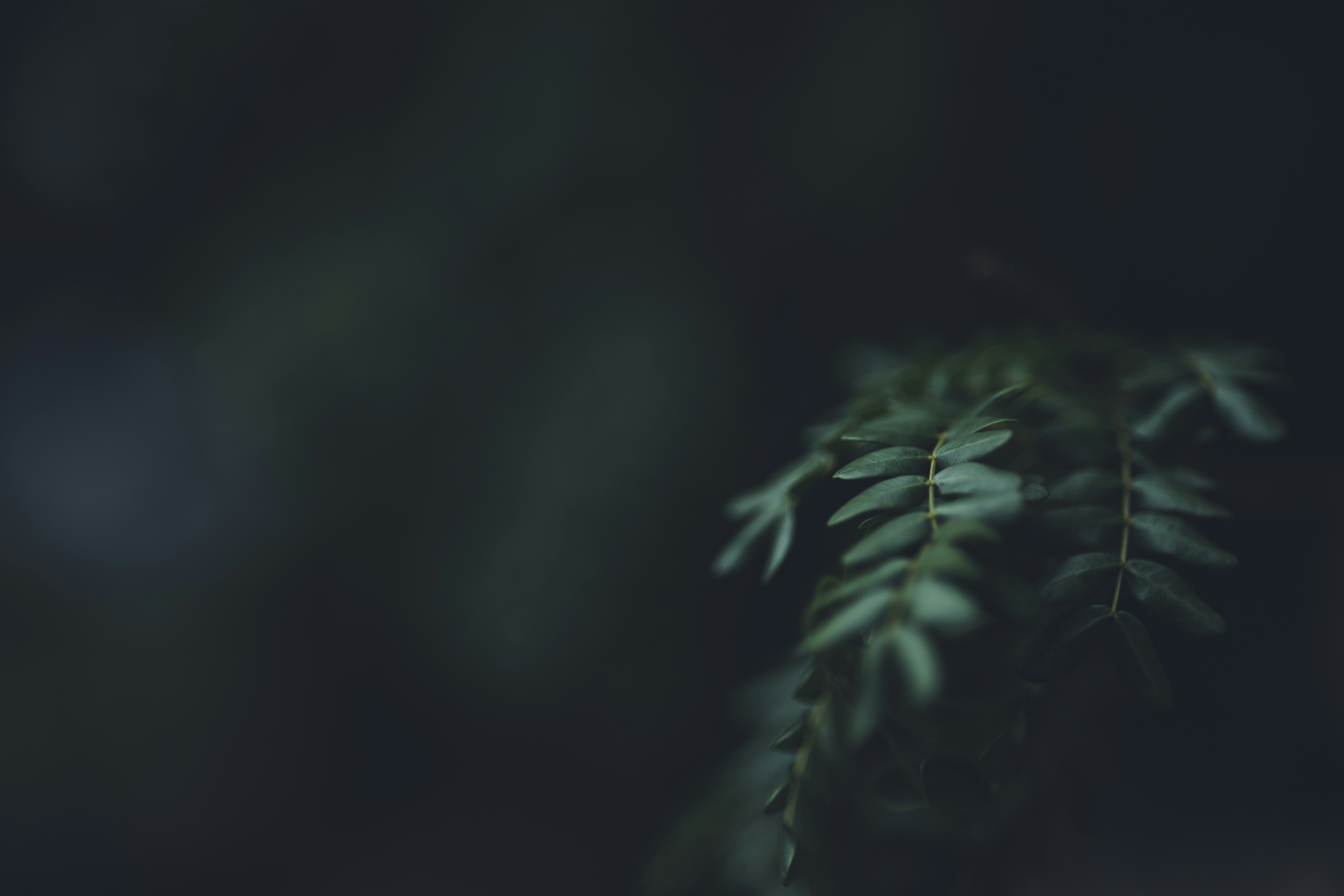 Photo by rrodriguesim