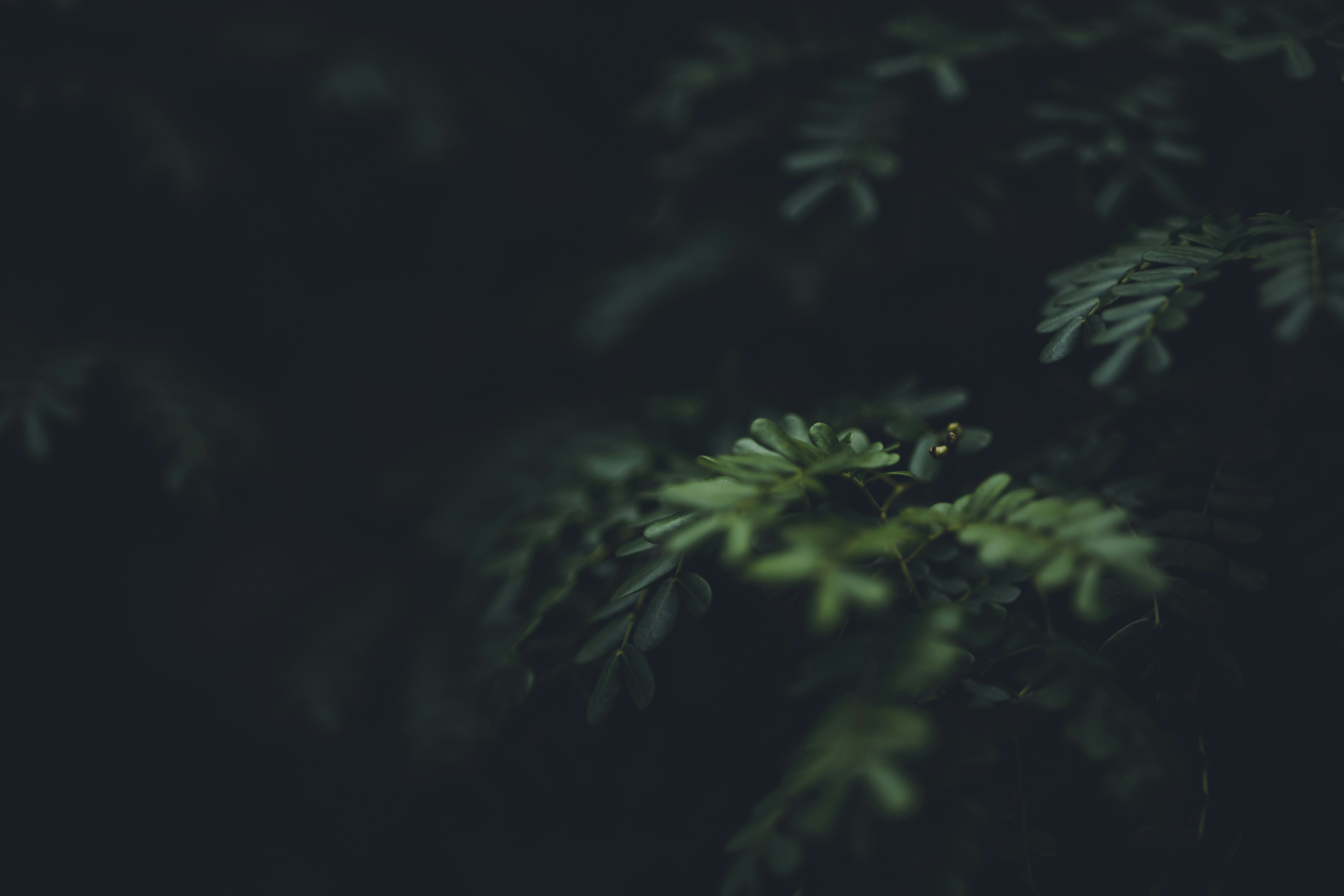 Photo by rrodriguesim