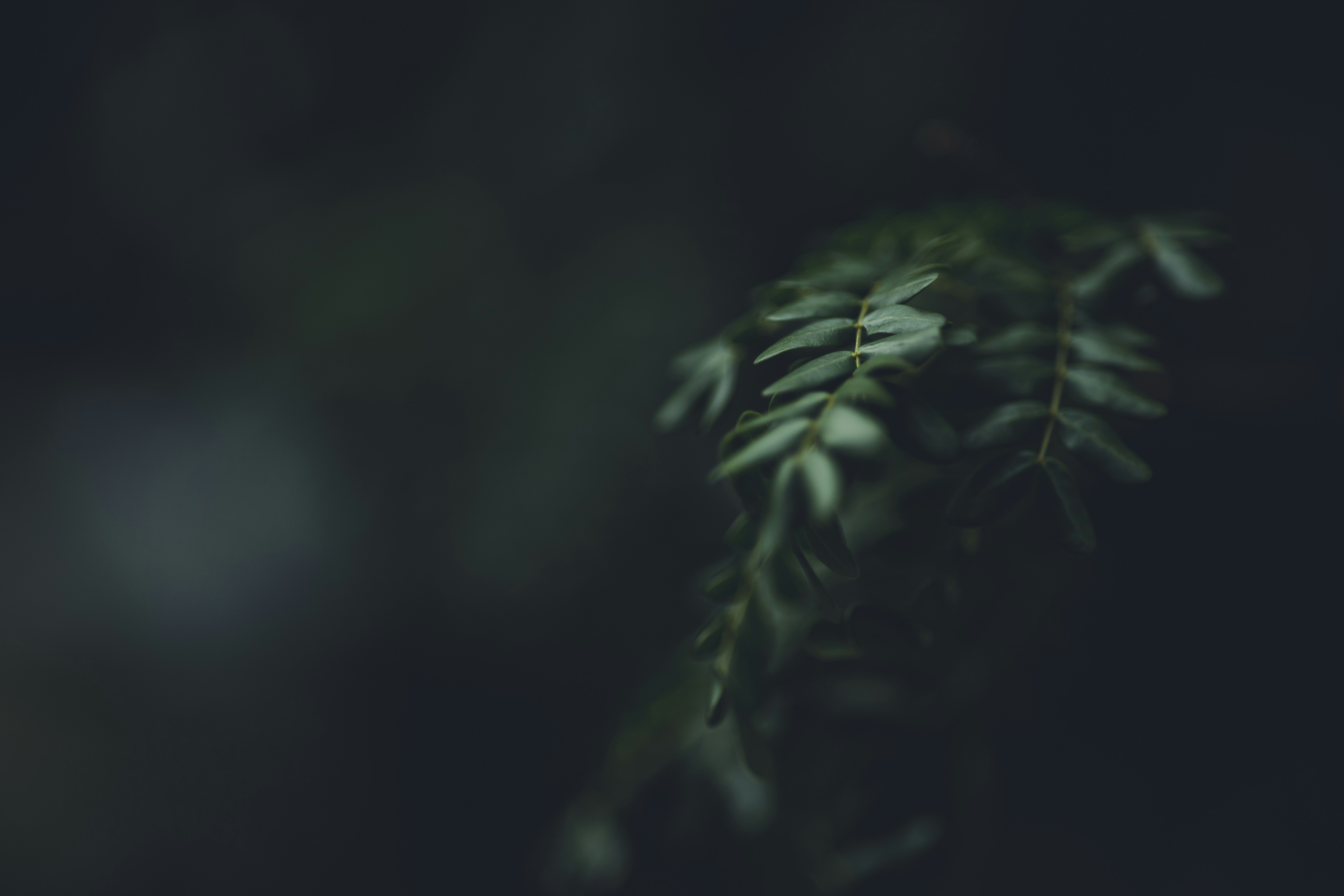 Nutrición personalizada: cómo apps y tecnología la potencian