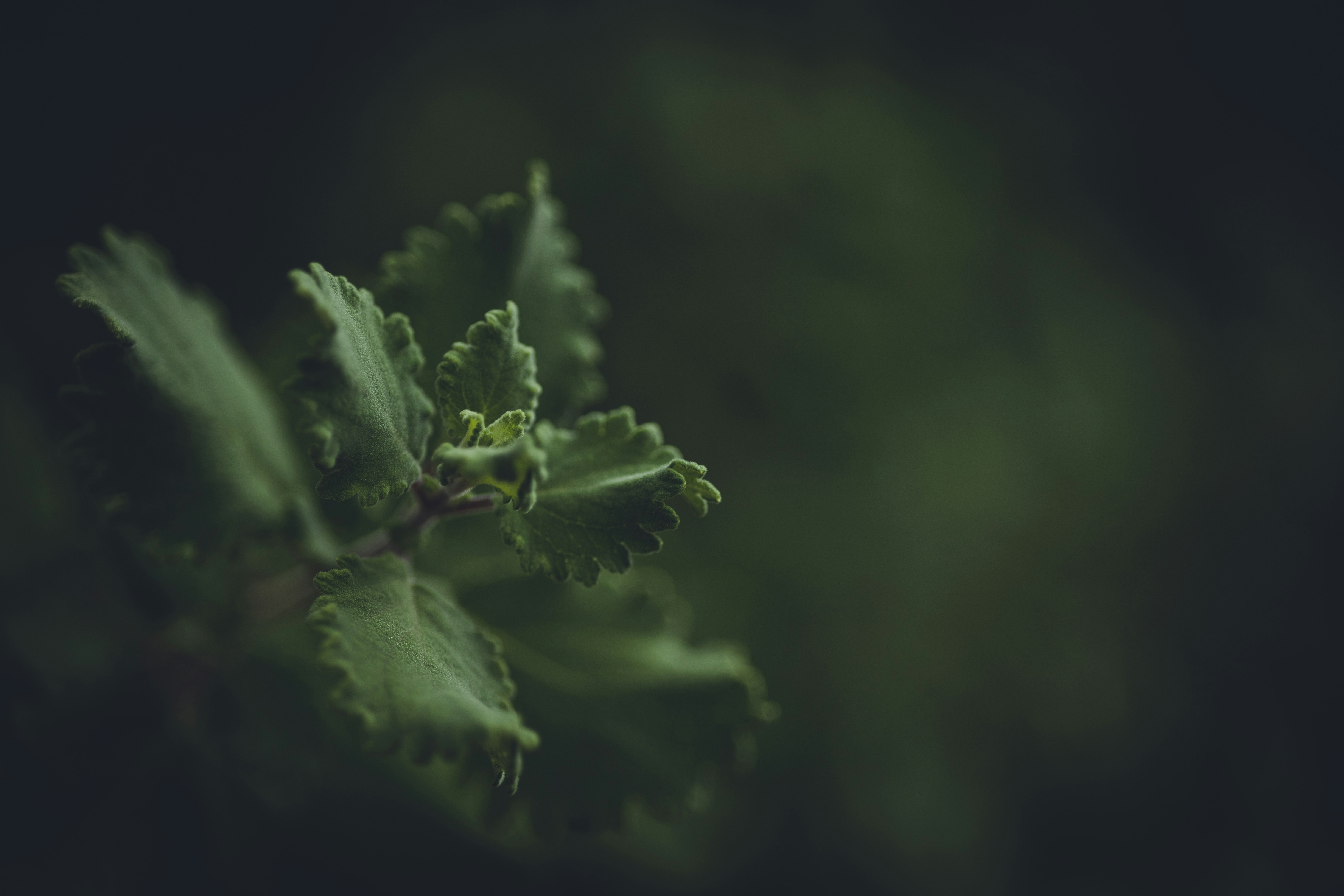 Photo by rrodriguesim