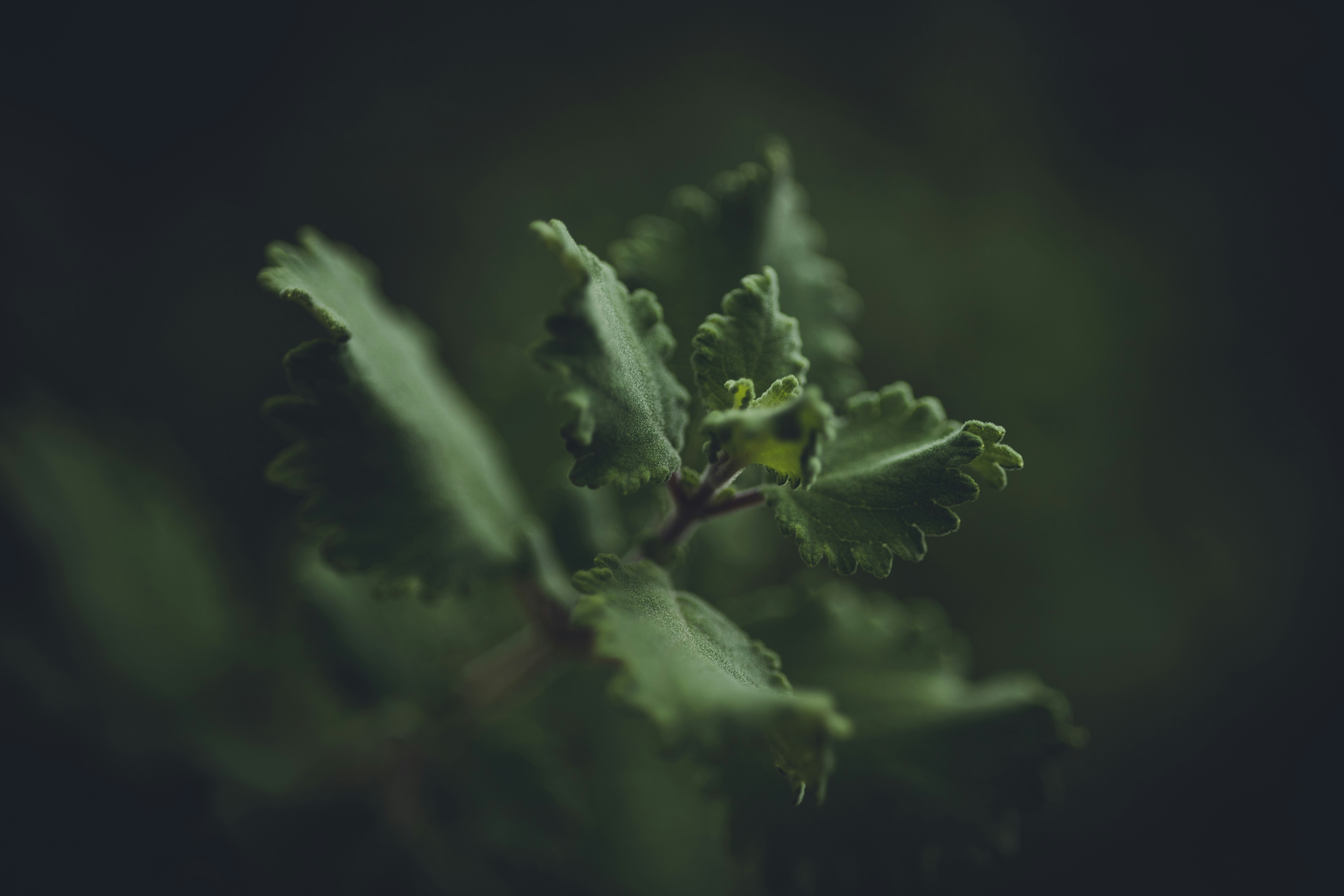 Photo by rrodriguesim