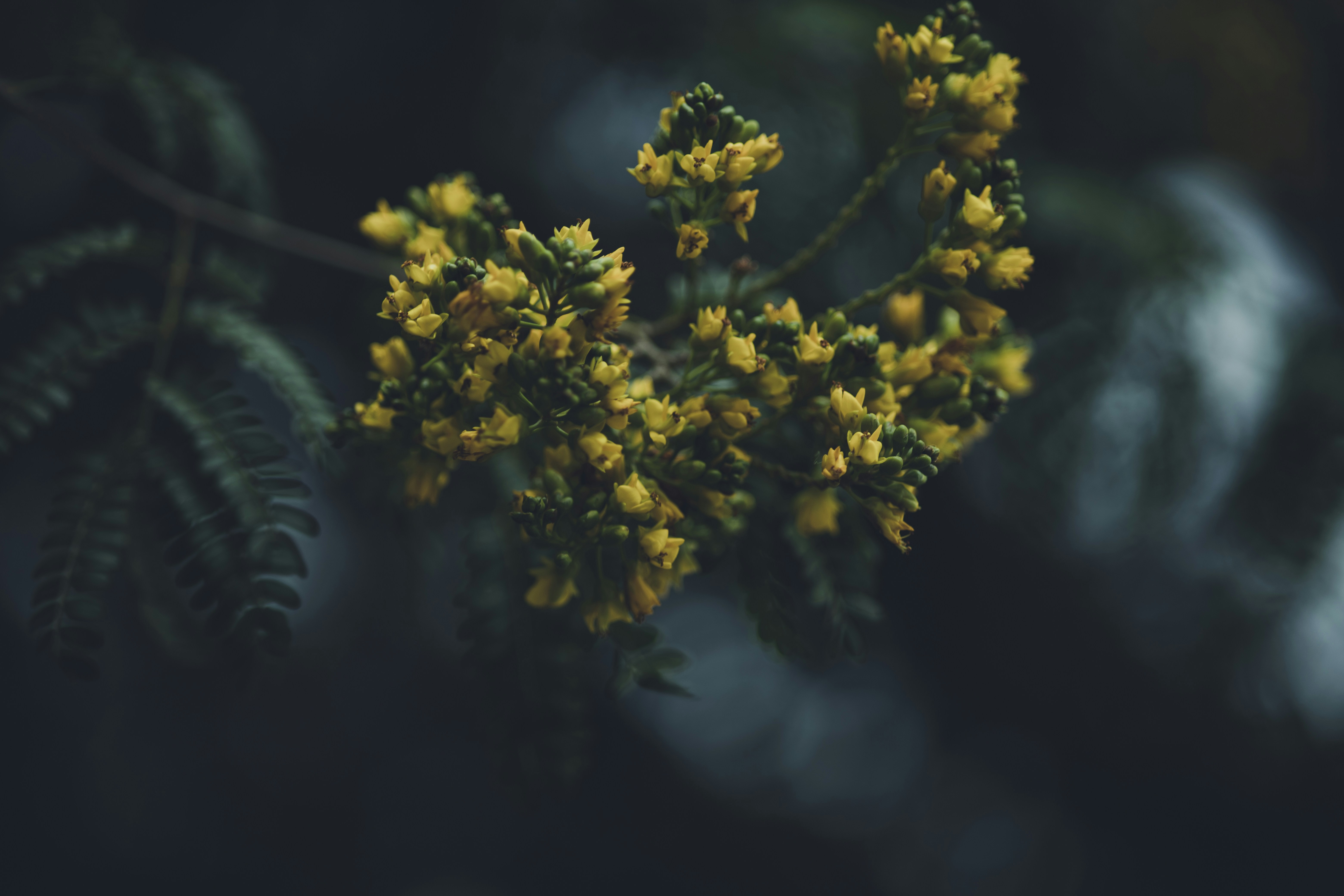 Photo by rrodriguesim