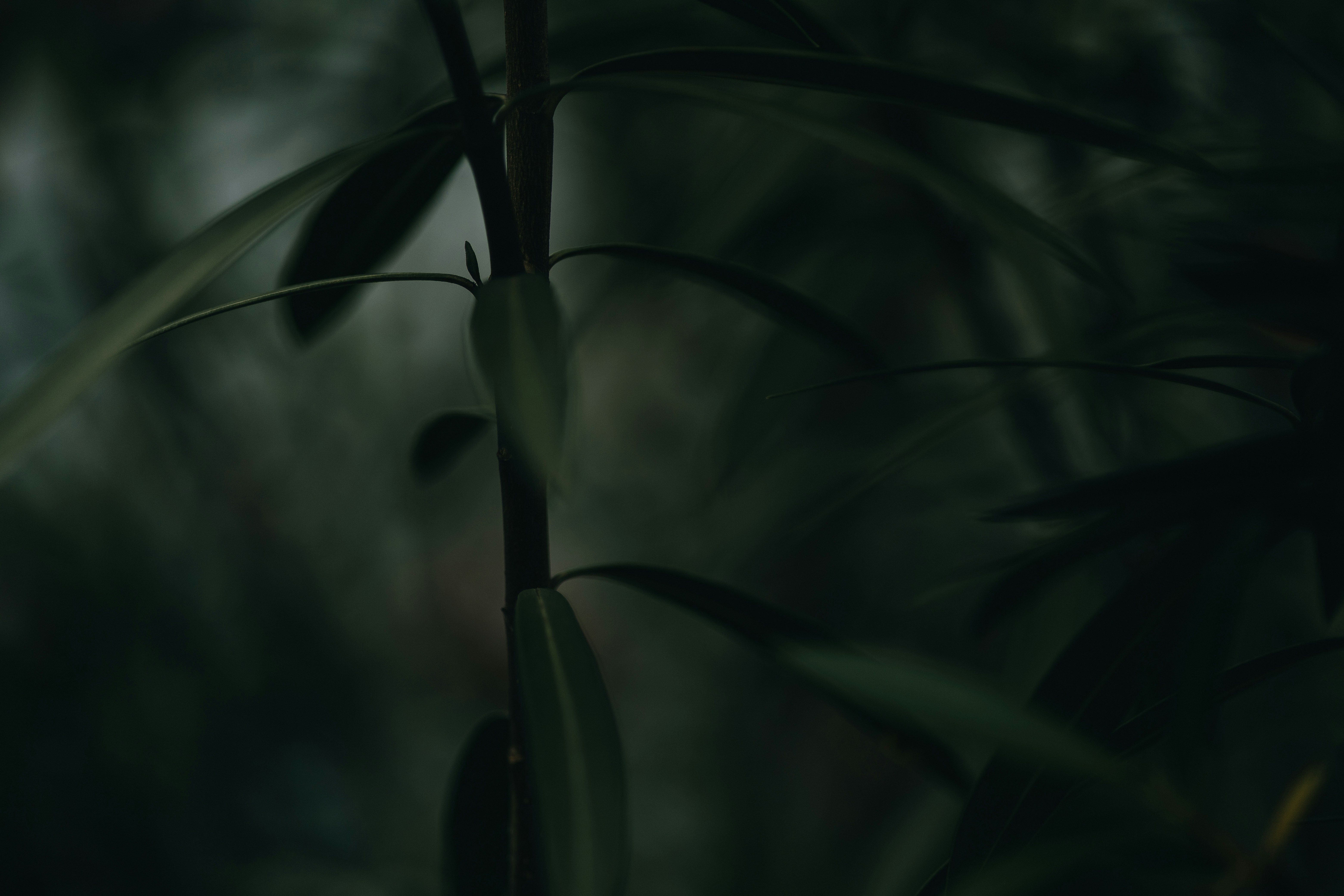 Photo by rrodriguesim