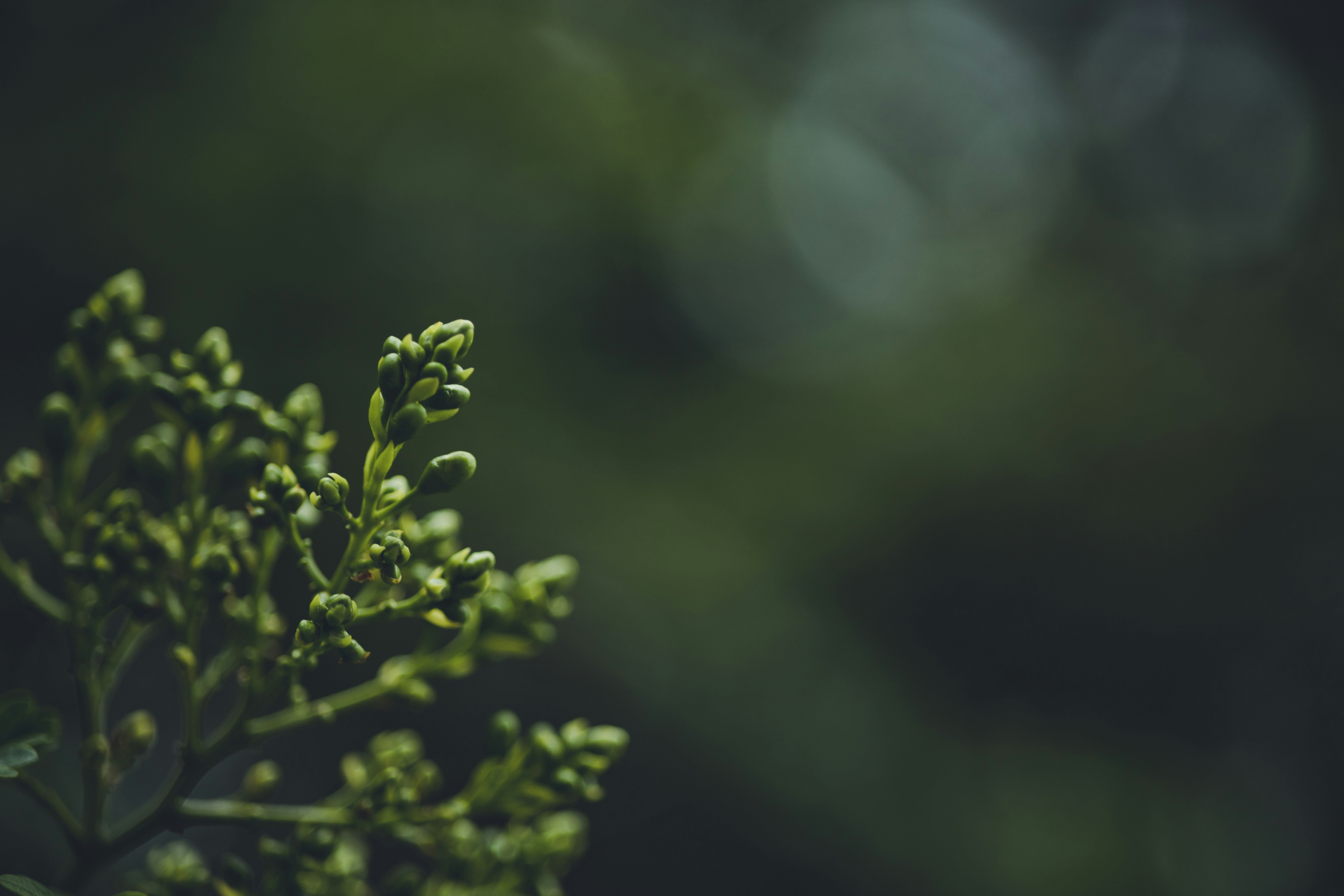 Photo by rrodriguesim