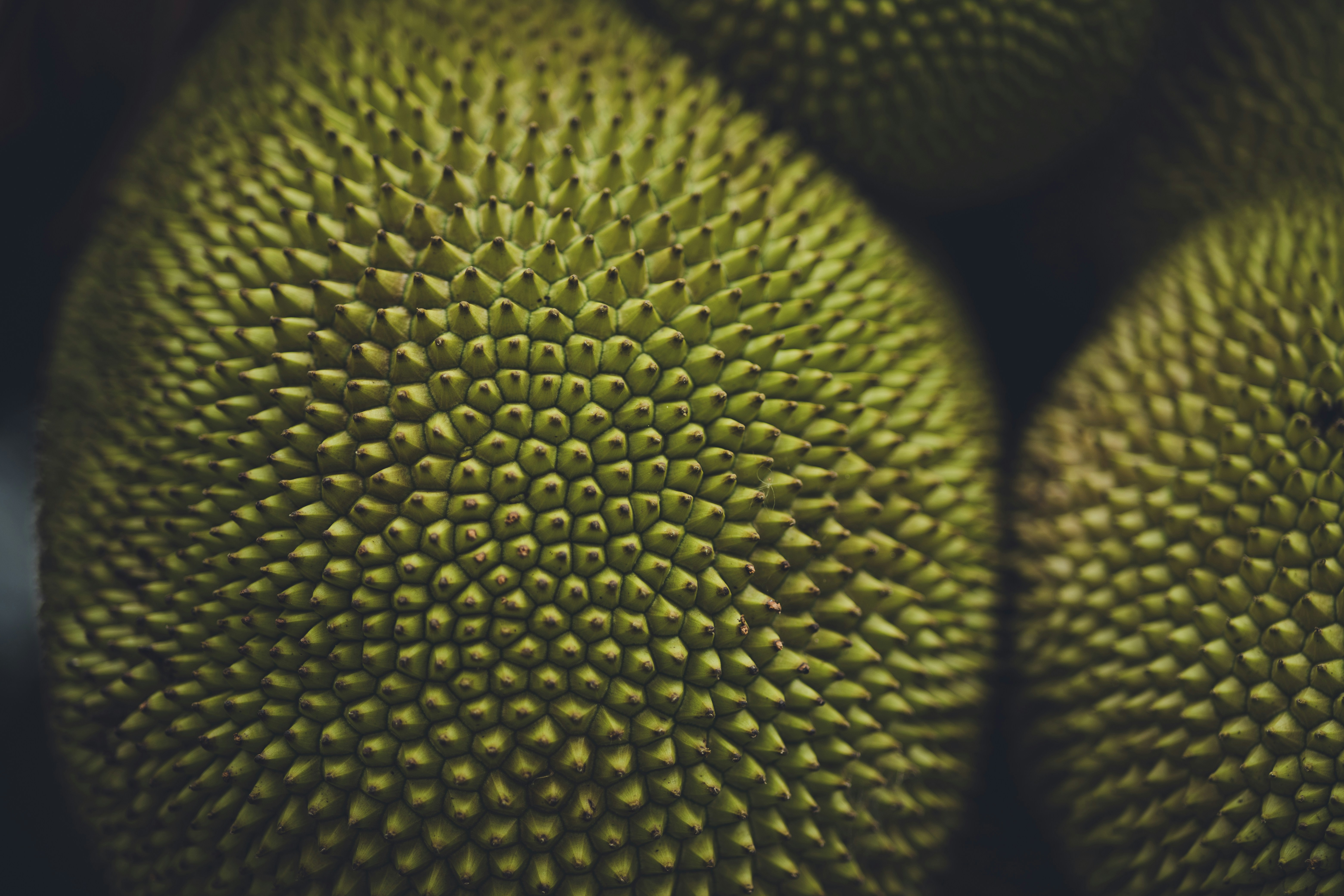 Photo by rrodriguesim