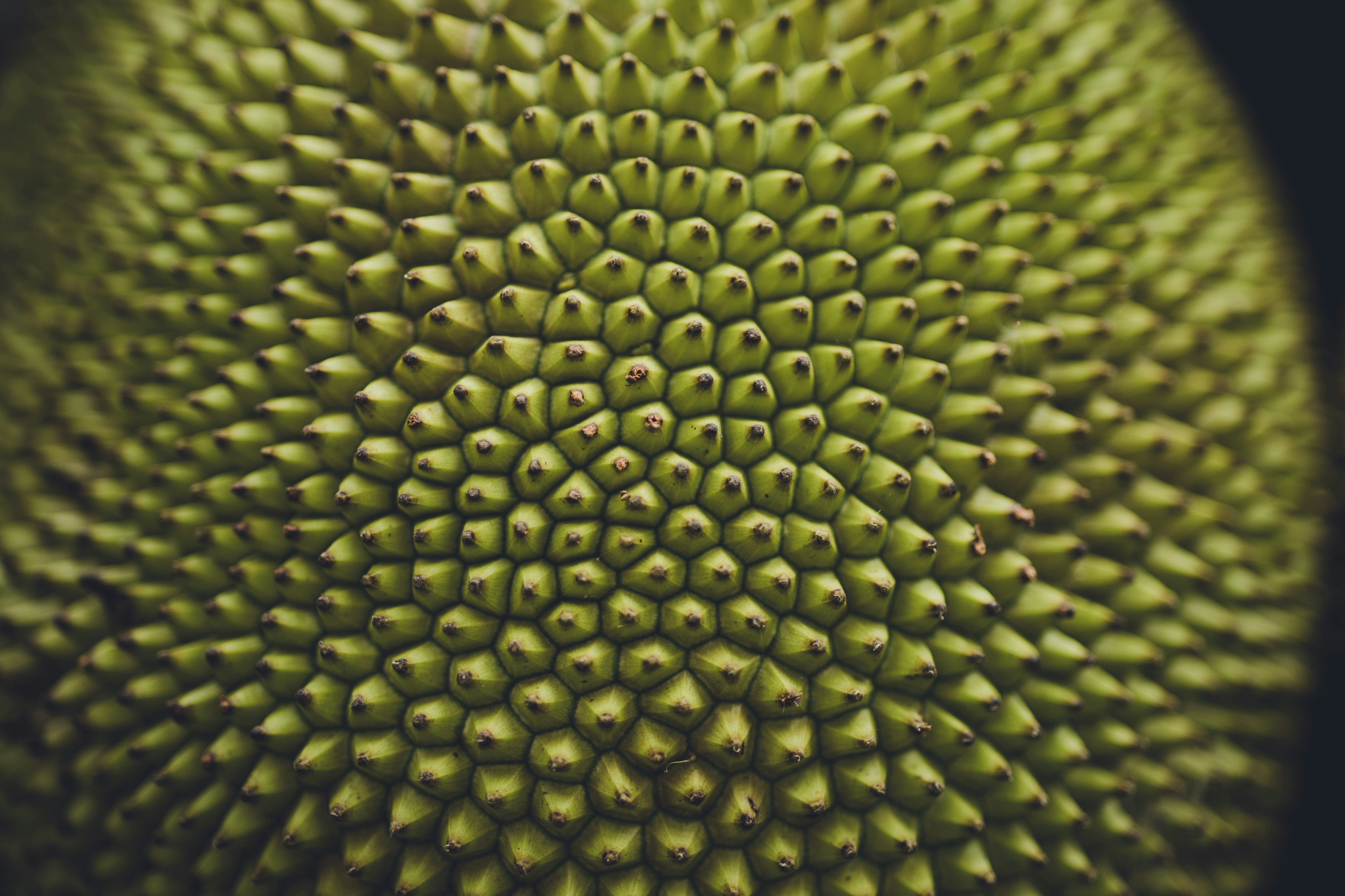 Photo by rrodriguesim