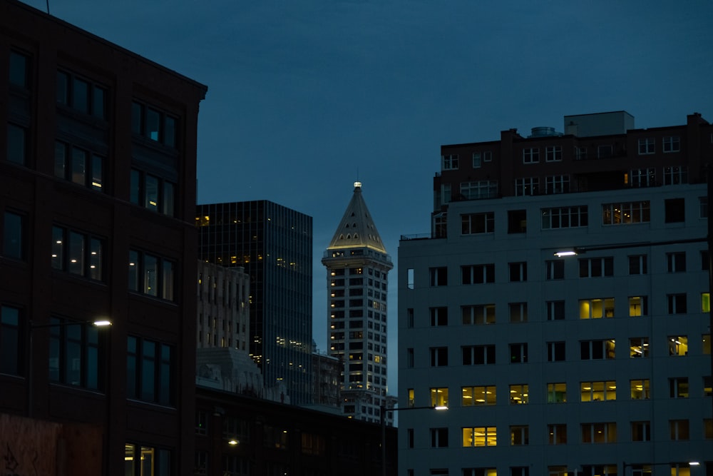 a view of a city skyline at night