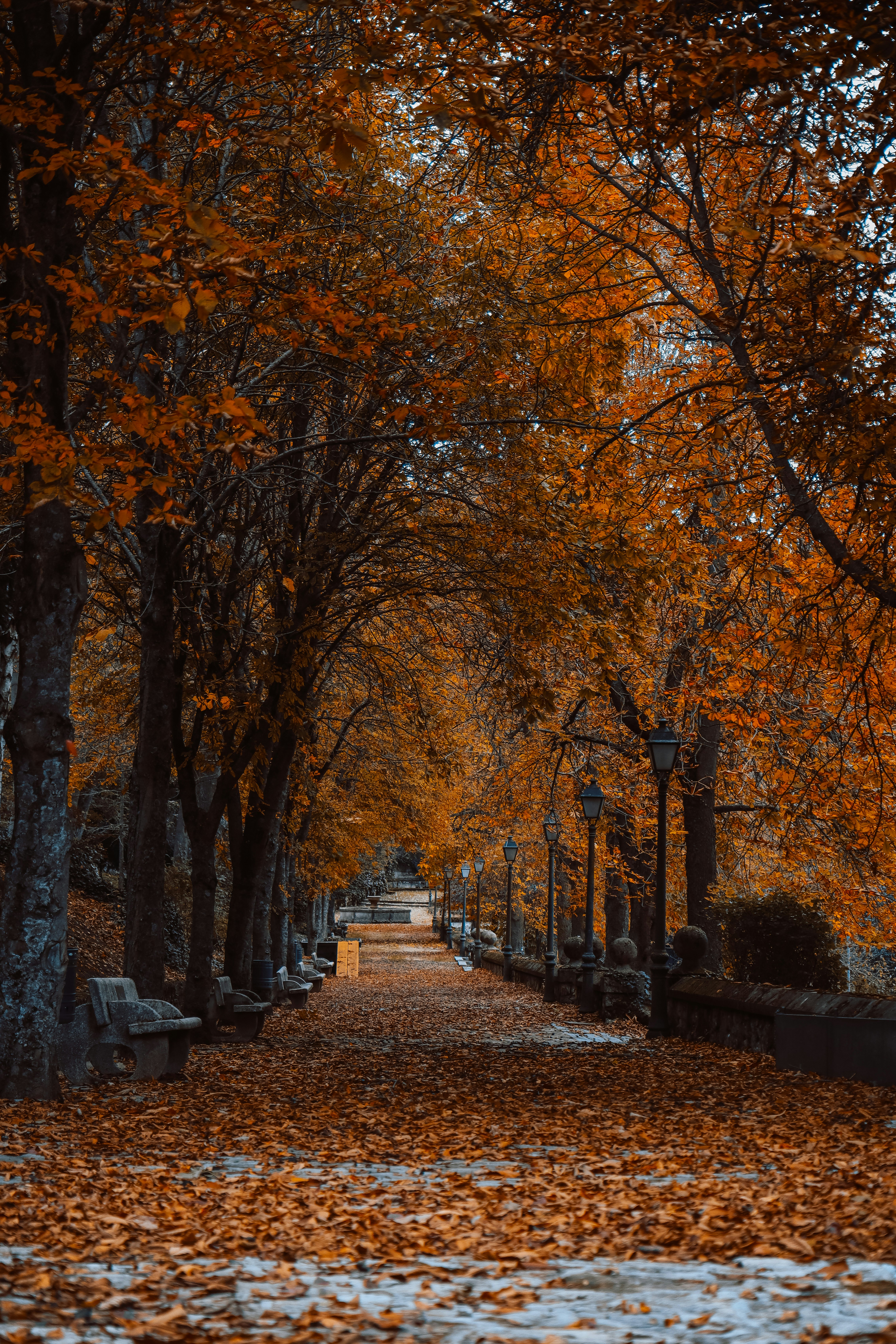 Photo by borisisaacx