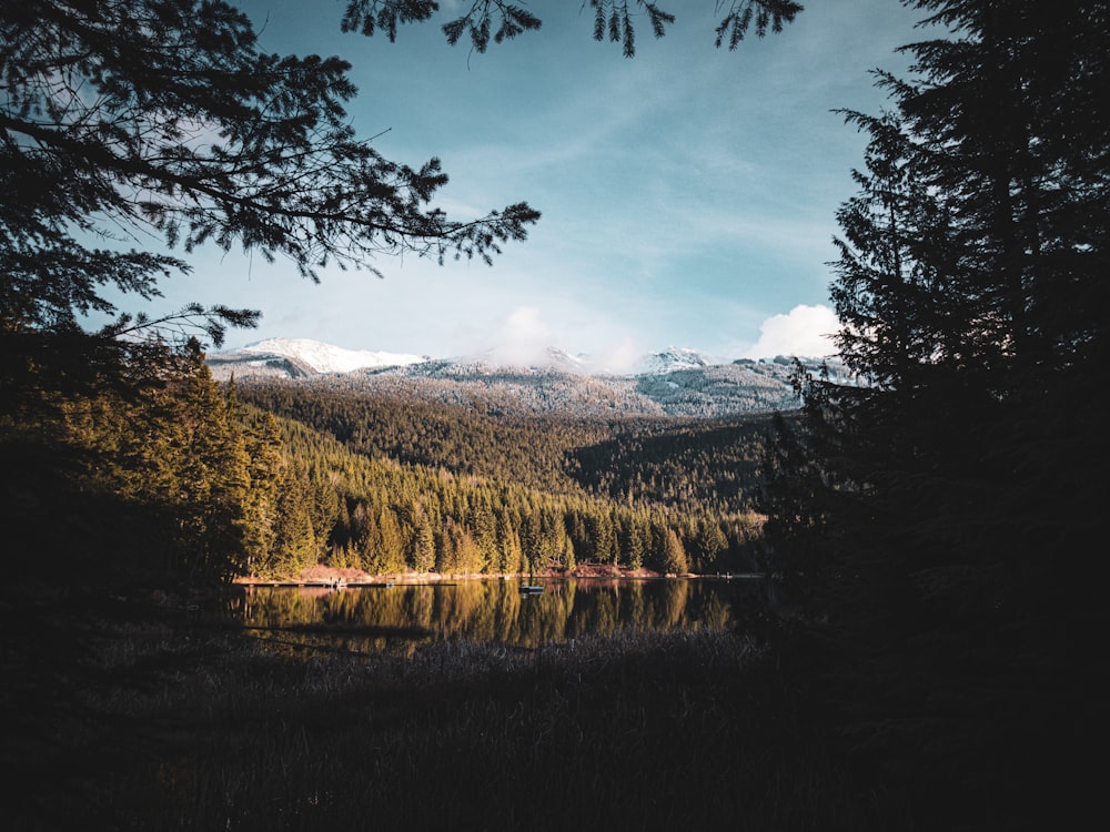 a lake surrounded by trees with mountains in the background