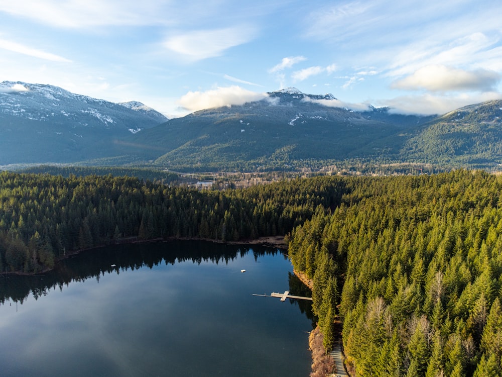 a large body of water surrounded by forest