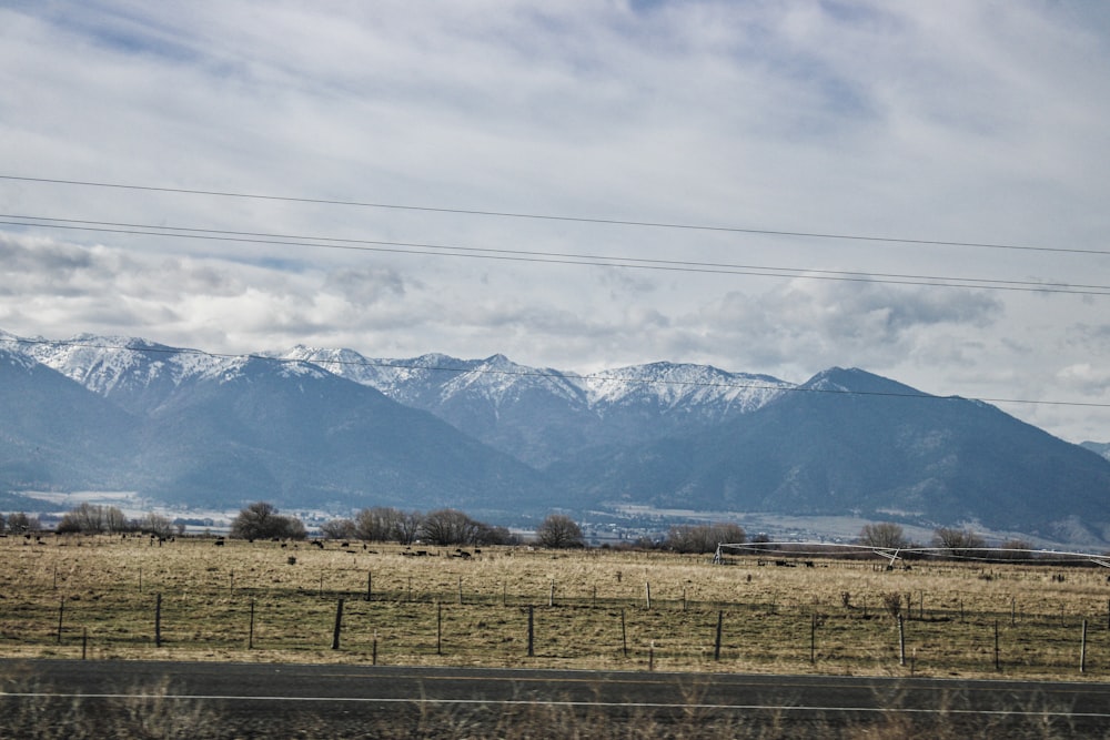 a large field with mountains in the background