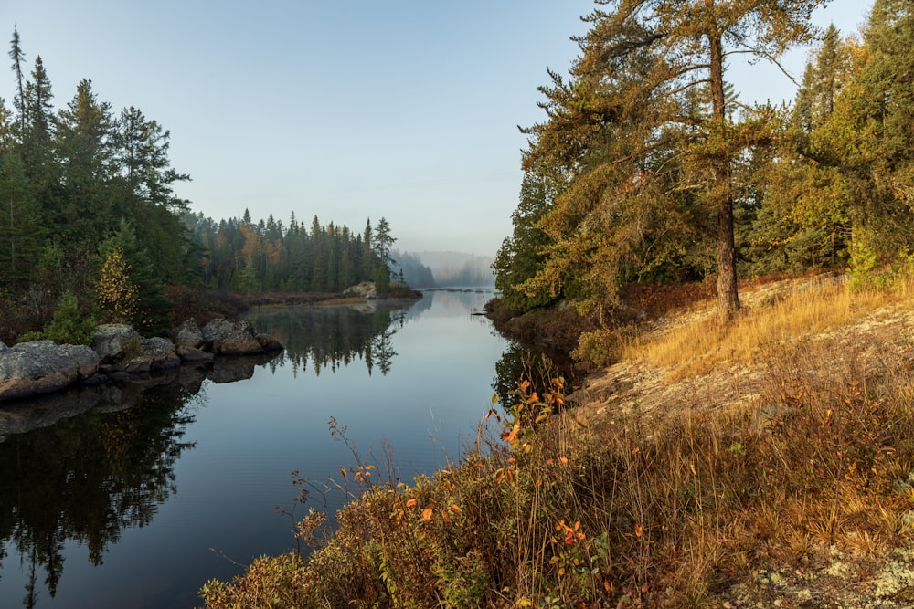 a body of water surrounded by trees and grass