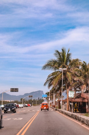 Passengers enjoying a scenic drive through a charming Florida town with palm trees.