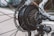 A detailed close-up of a bicycle rear wheel, focusing on the gear cassette, derailleur, and disk brake. The metallic components are intricately arranged, showcasing the mechanical design and branding of Shimano and Tourney. Spokes radiate outward from the hub, surrounded by a white bicycle frame in the background.