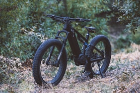 a bicycle parked in the middle of a forest