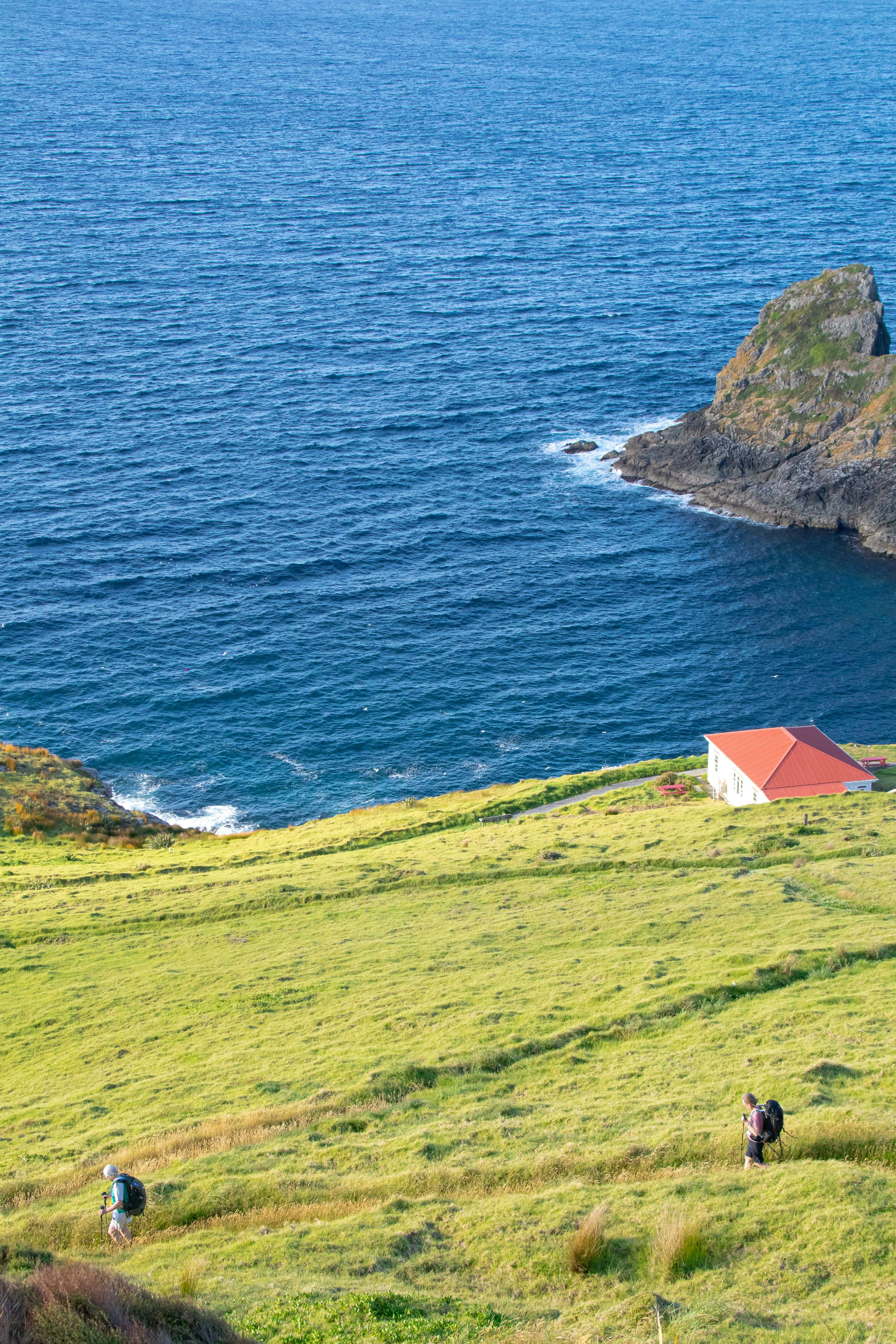 Navigating Aotearoa: Transportation and Getting Around