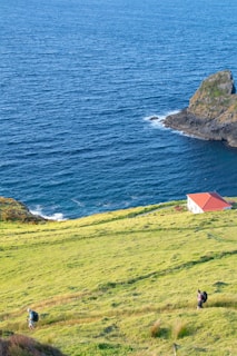 A lush green hillside gently slopes down towards a calm blue ocean. Two hikers are visible, each carrying a backpack, as they make their way up the hill. A small house with a red roof is perched near the edge, overseeing the water. A rocky outcrop juts into the sea, adding a rugged element to the serene landscape.