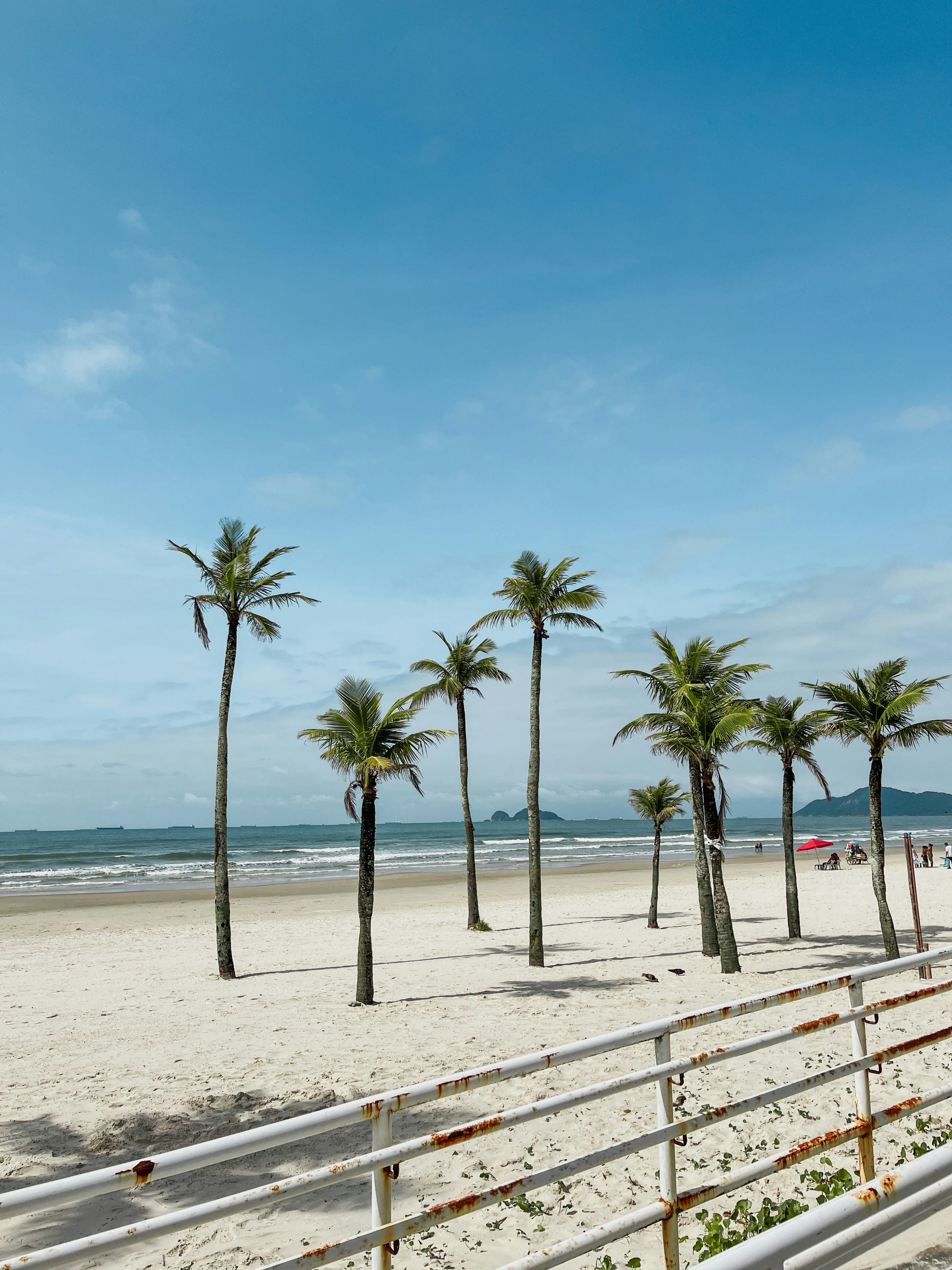 Photo by adrianepaes