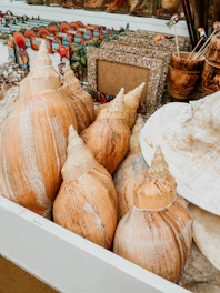 A colorful display of beach-themed souvenirs including turquoise shirts, coral mugs, and sandy beige bags arranged on a wooden table with a tropical background.