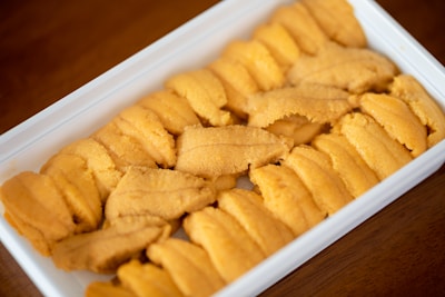 Freshly processed sea urchins ready for distribution.