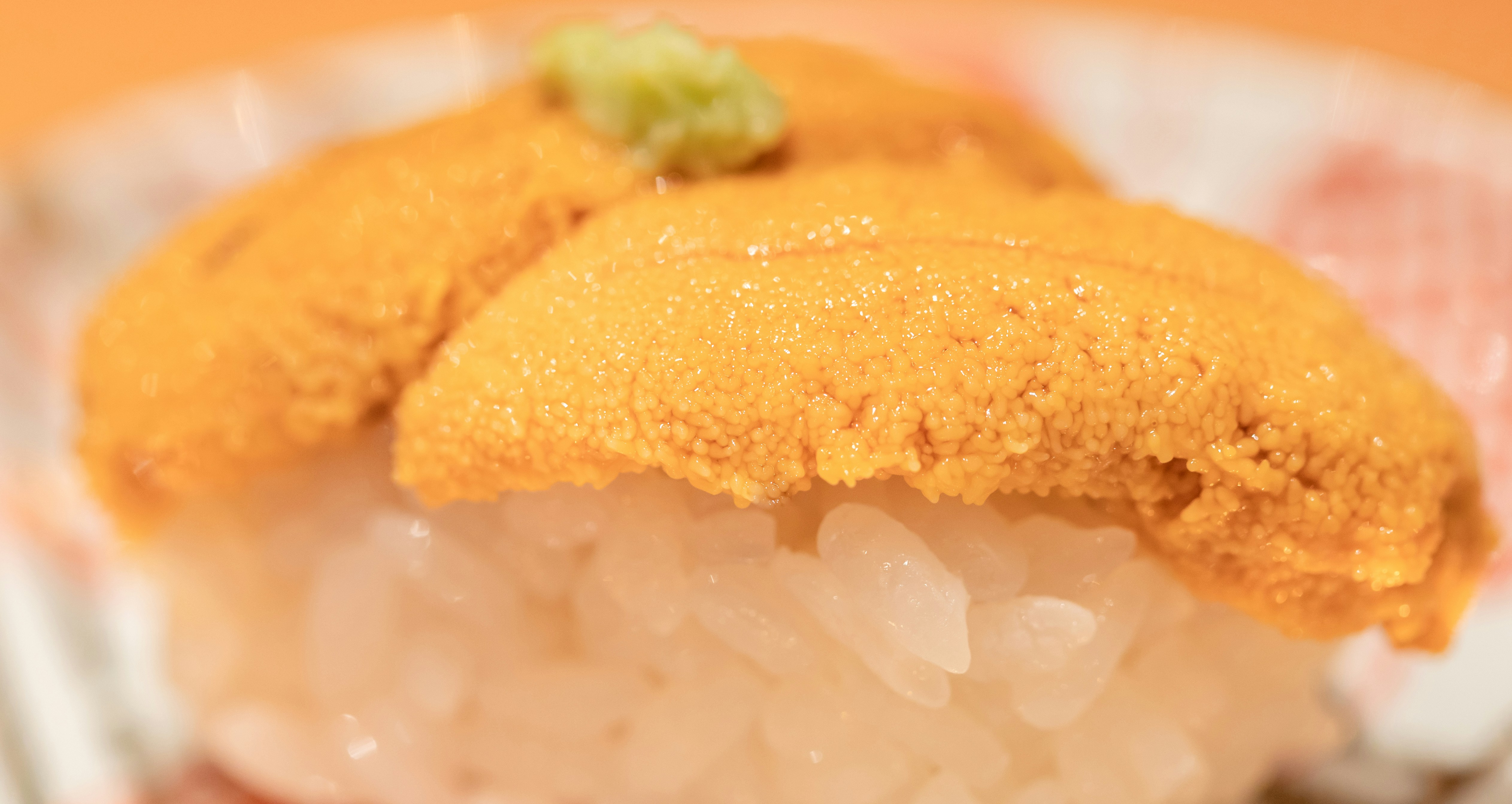 Sea urchin nigiri close-up